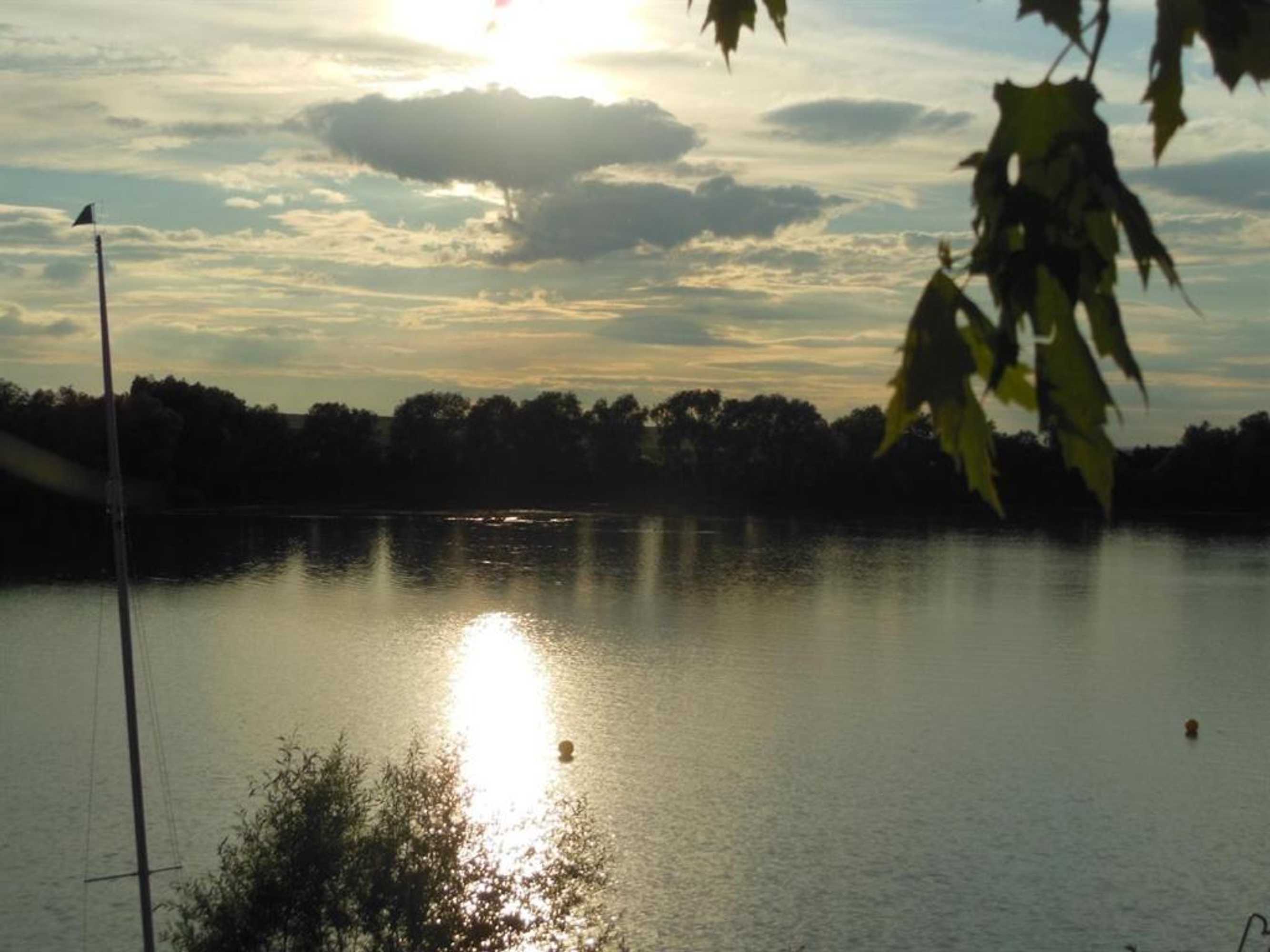 Gift card for Mfc Erfurter Seen