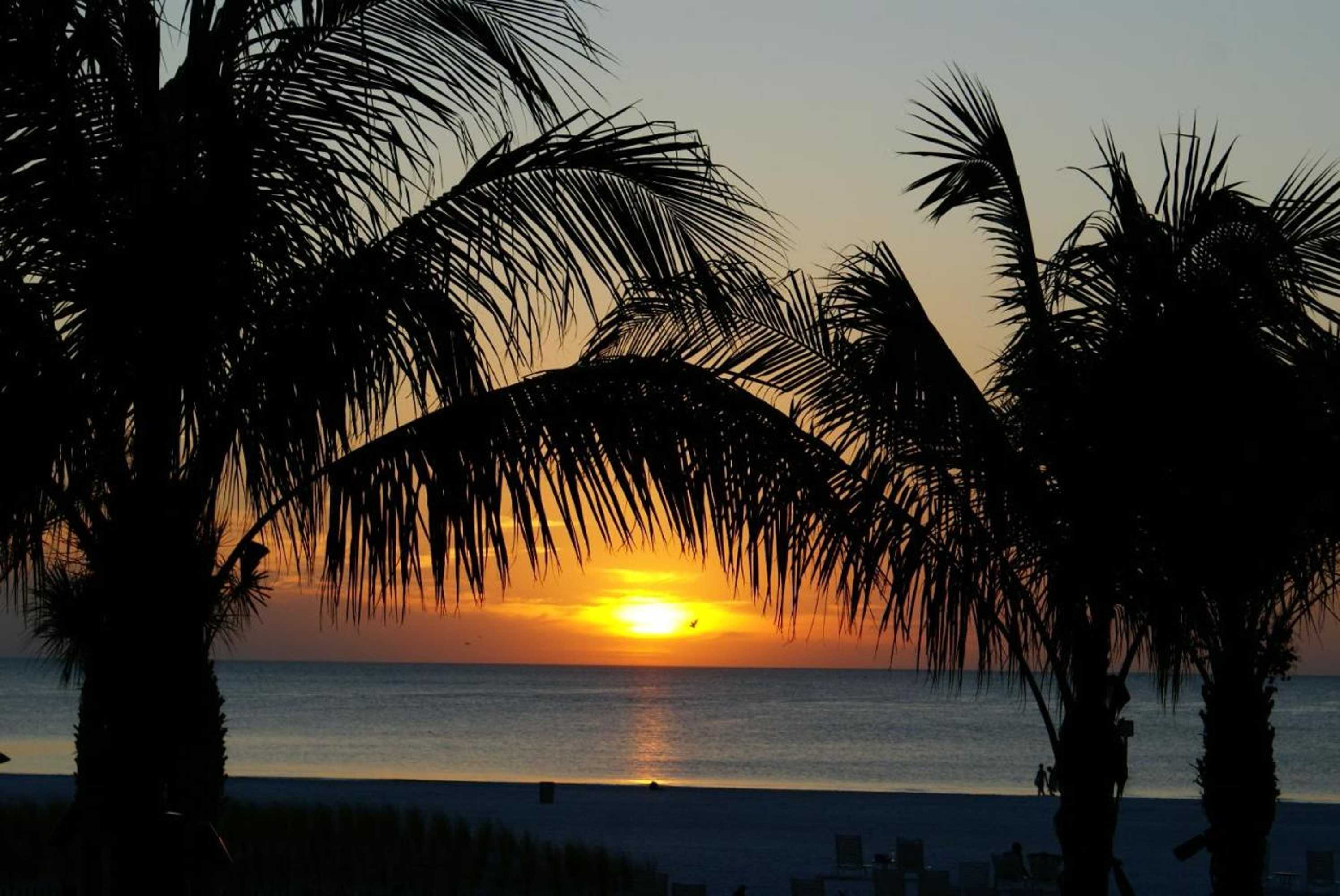 Gift card for Sandpearl Resort Private Beach Gift card for Sandpearl Resort Private Beach