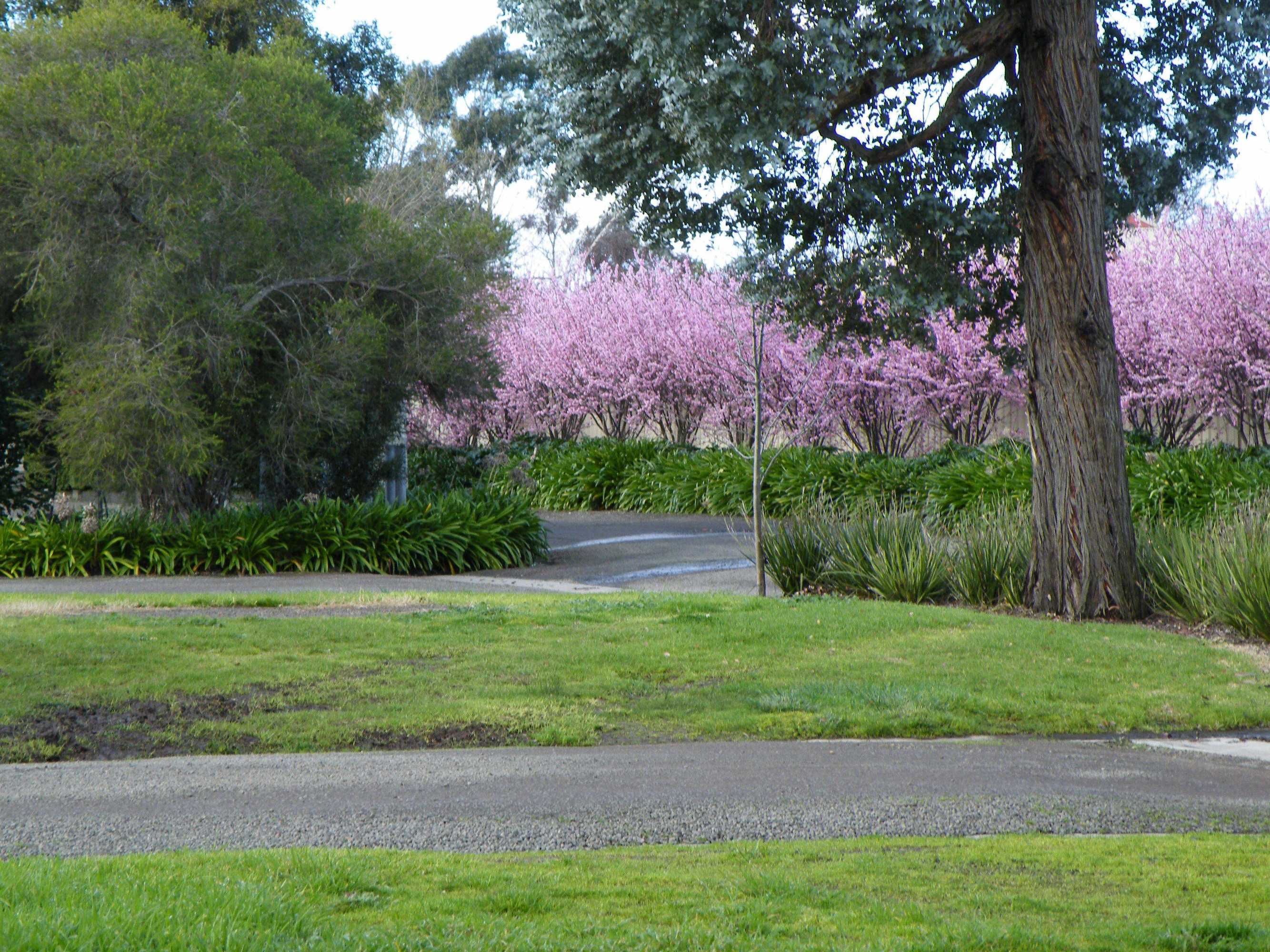 Gift card for Lake Hamilton Motor Village & Caravan Park Gift card for Lake Hamilton Motor Village & Caravan Park