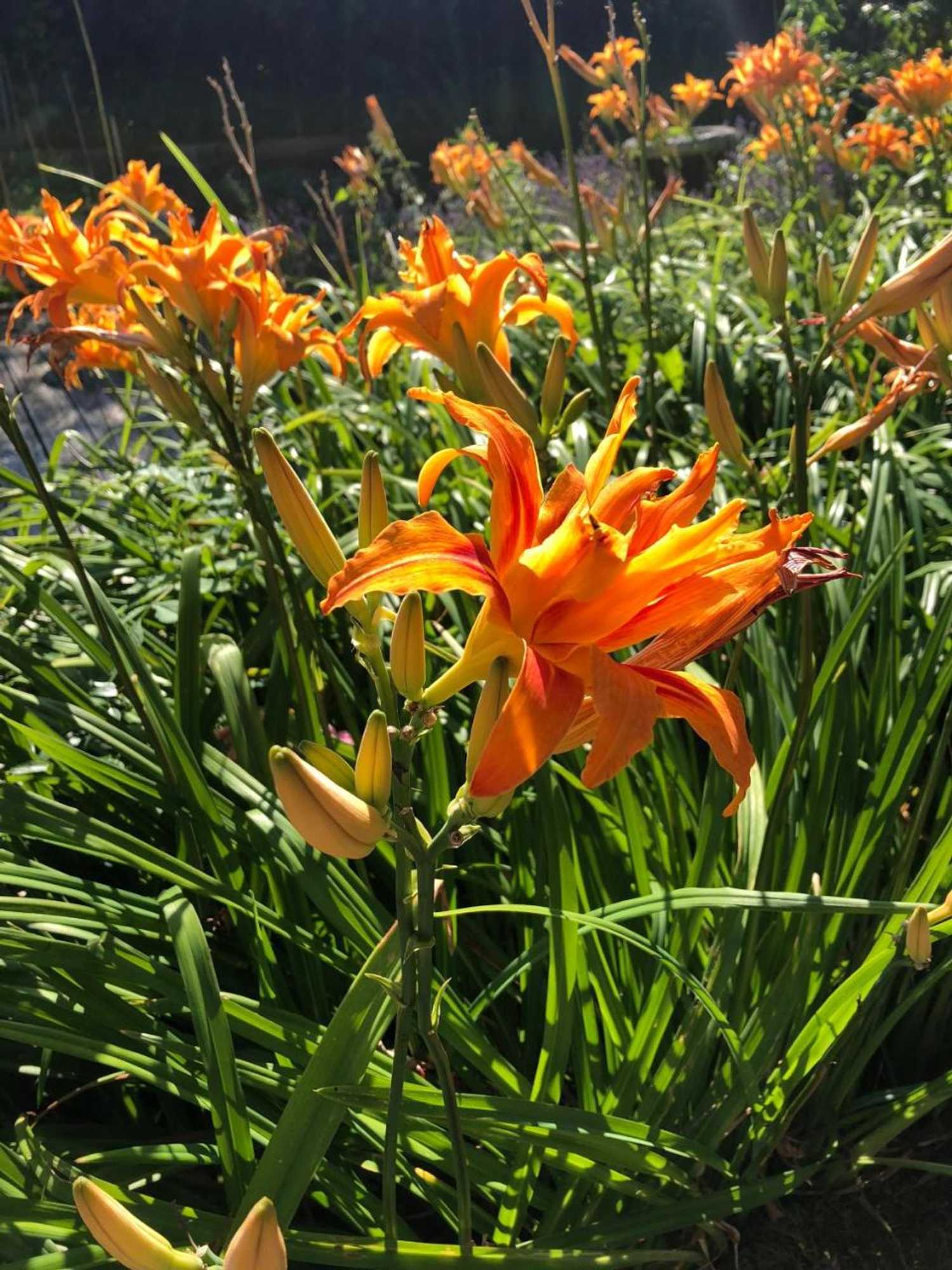 Gift card for Villa Kunterbunt