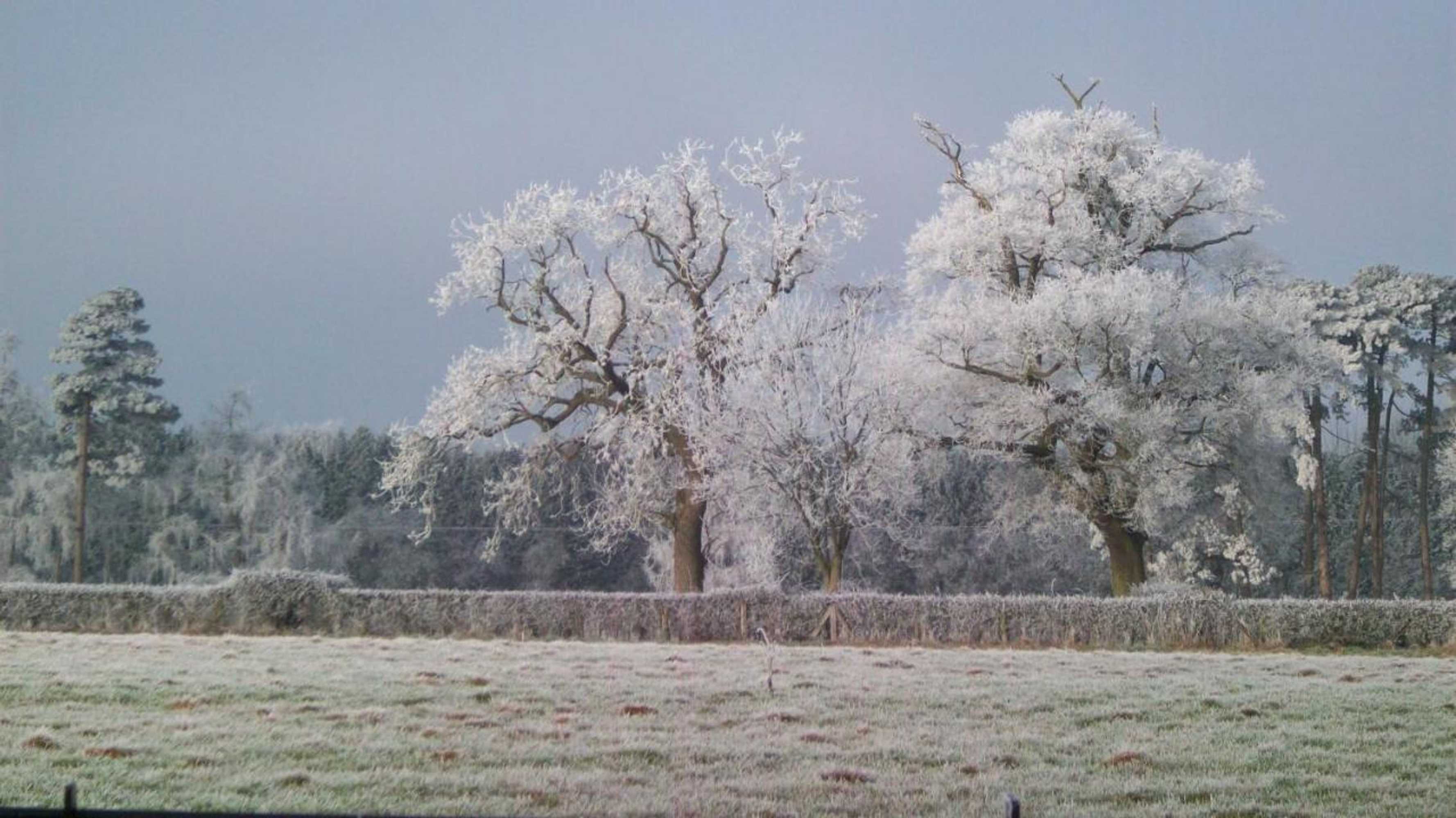 Gift card for Mayertorne Cottage