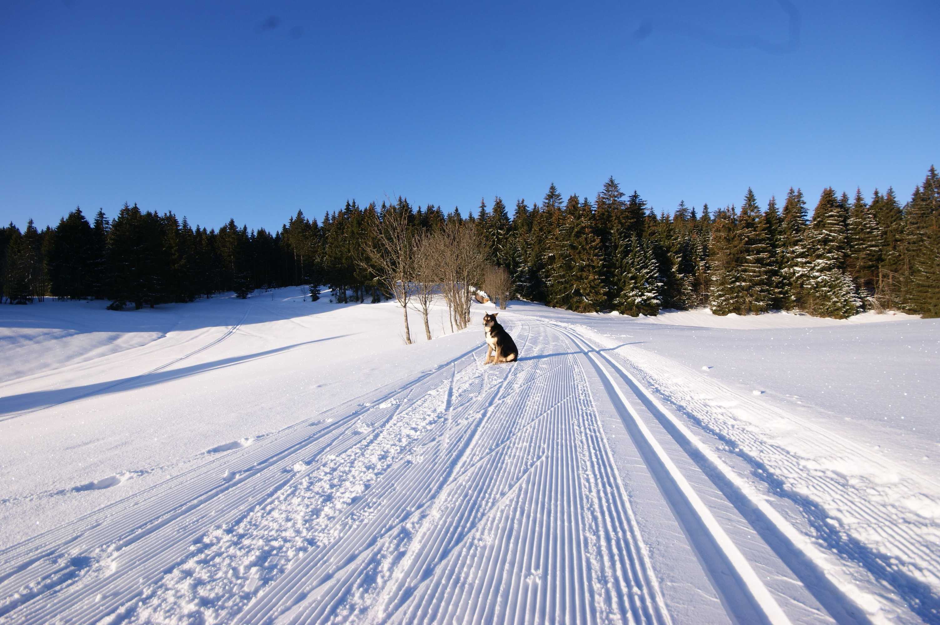 Gift card for Höhengasthaus Kolmenhof an Der Donauquelle