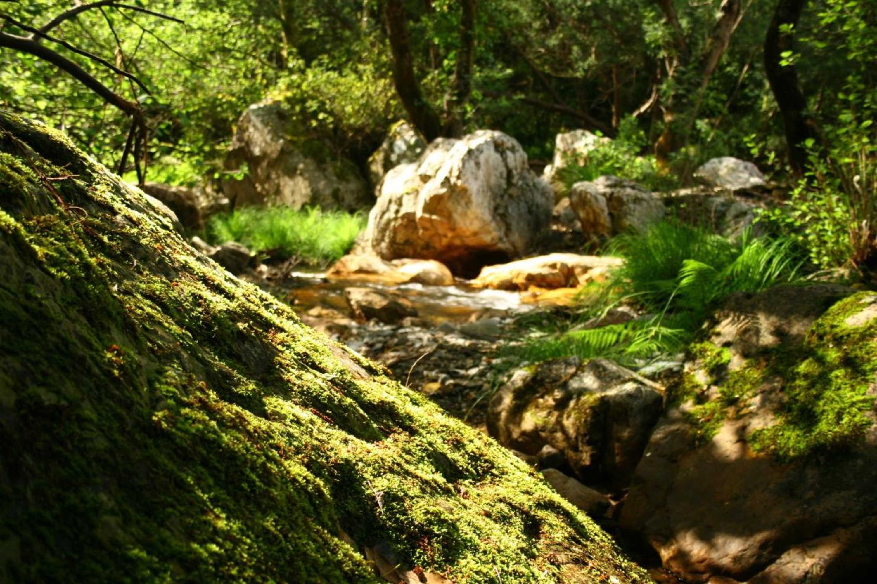 Gift card for Hotel Rural Solar Das Freiras