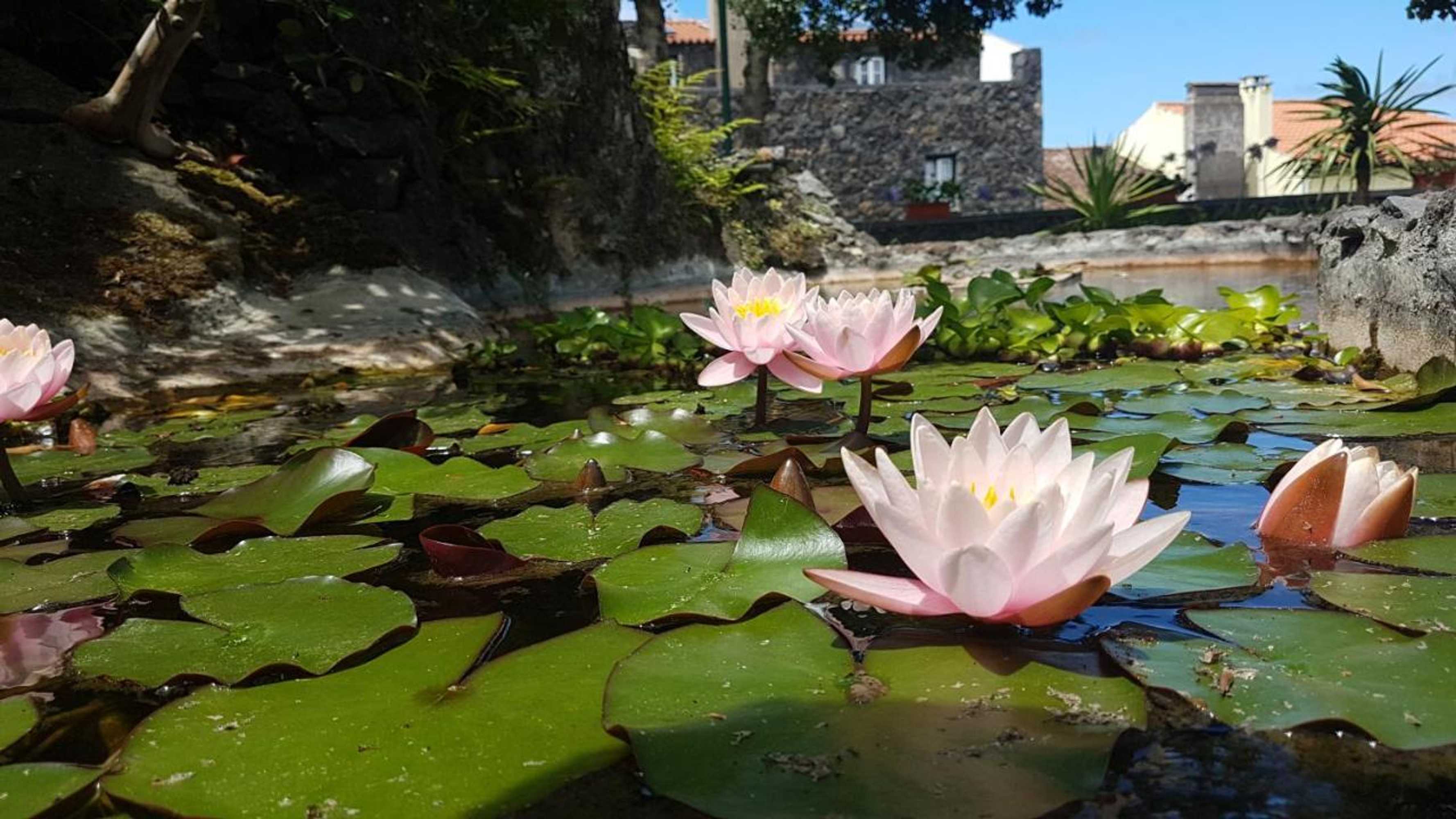 Gift card for Stonewood Lodge AL