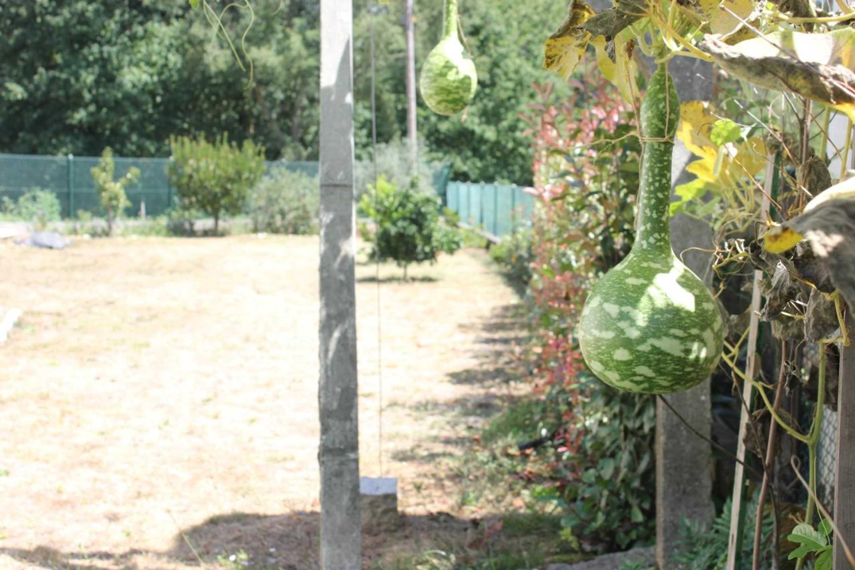 Gift card for Casa do Porto Carreiro Gift card for Casa do Porto Carreiro