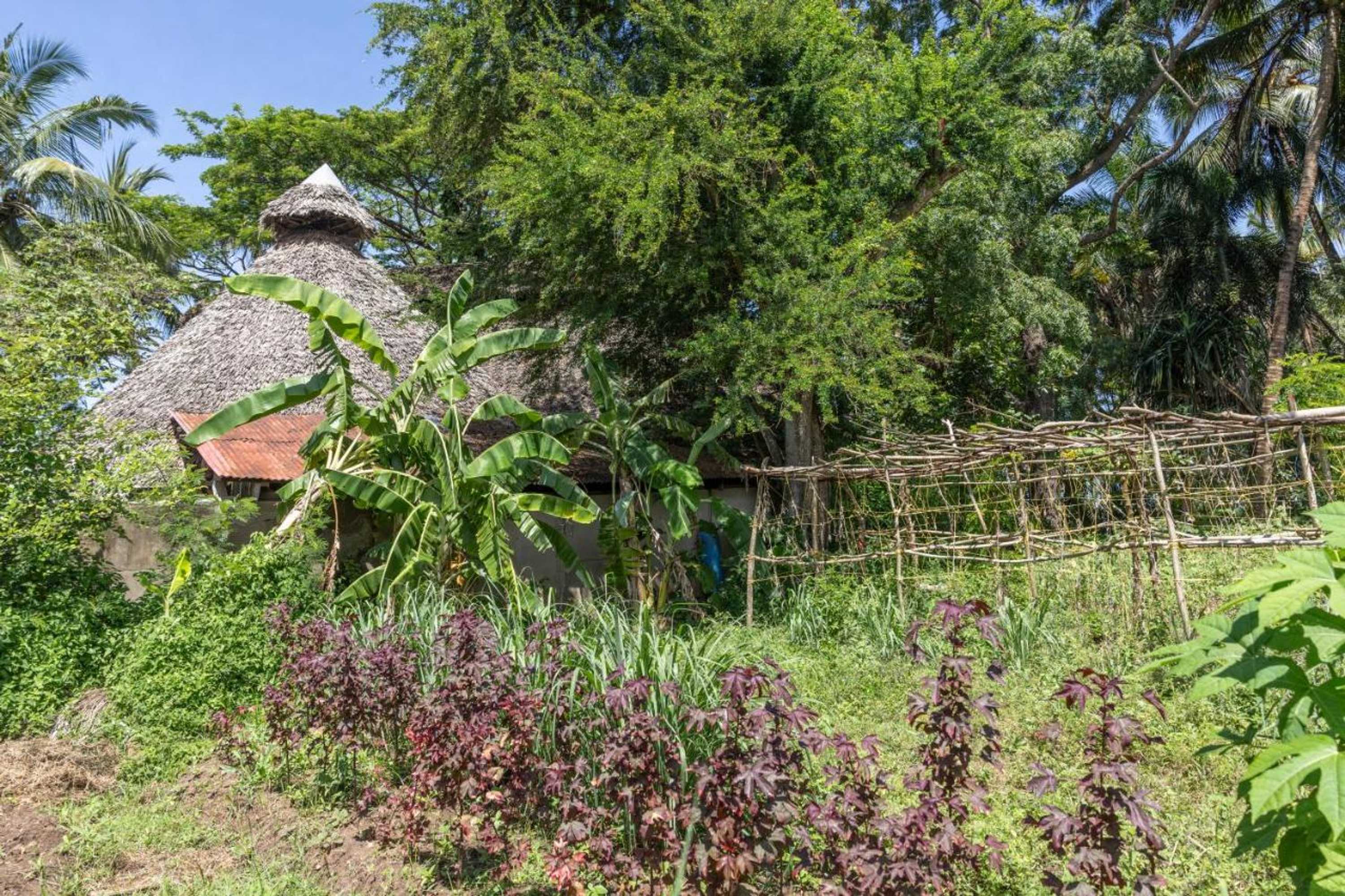 Gift card for Mbweni Ruins & Gardens