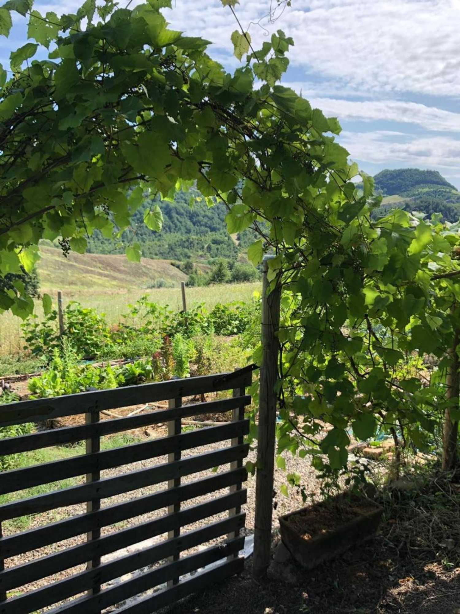 Gift card for B&b Agriturismo Casa Vallona