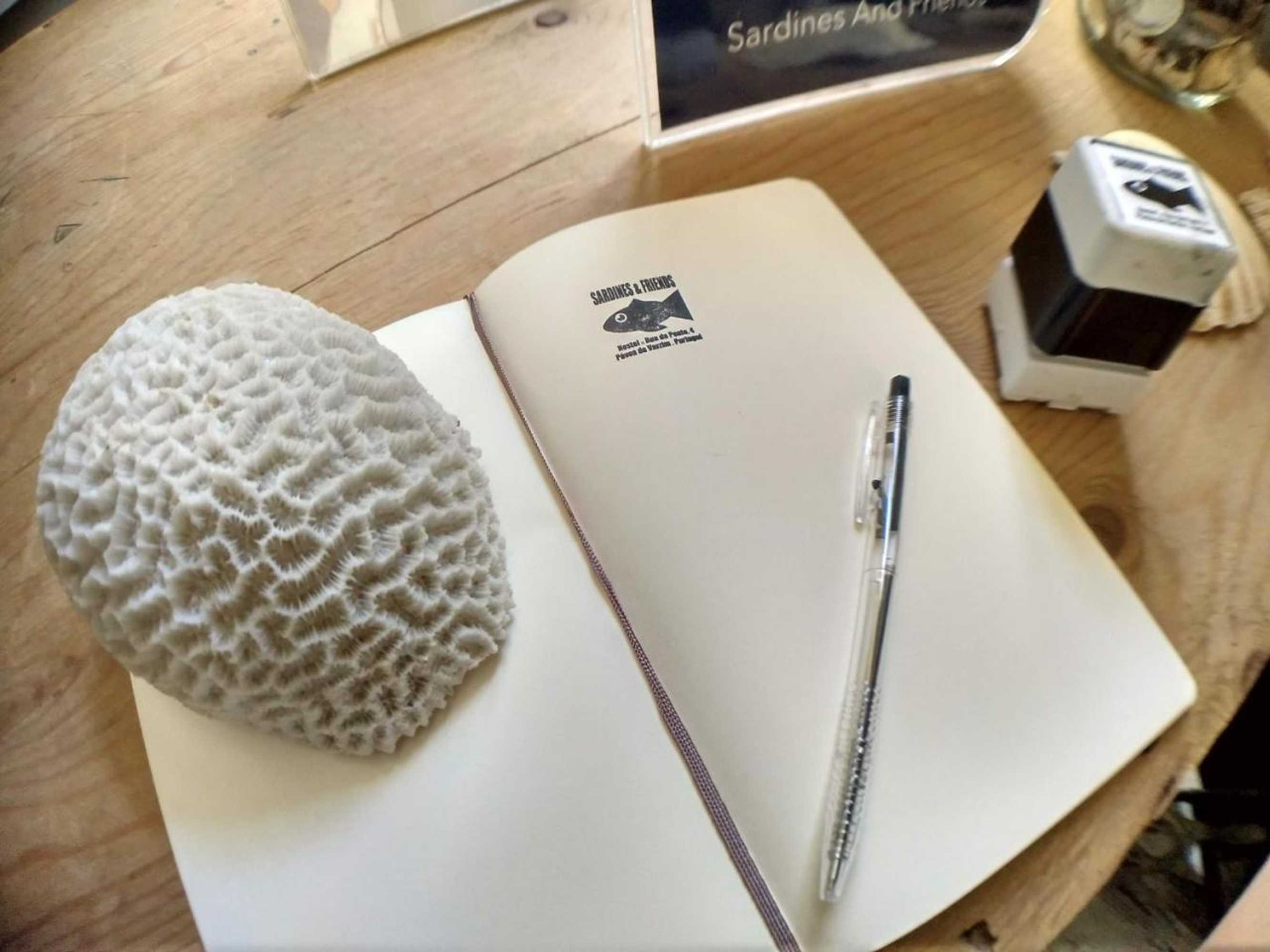 Gift card for Sardines And Friends Hostel