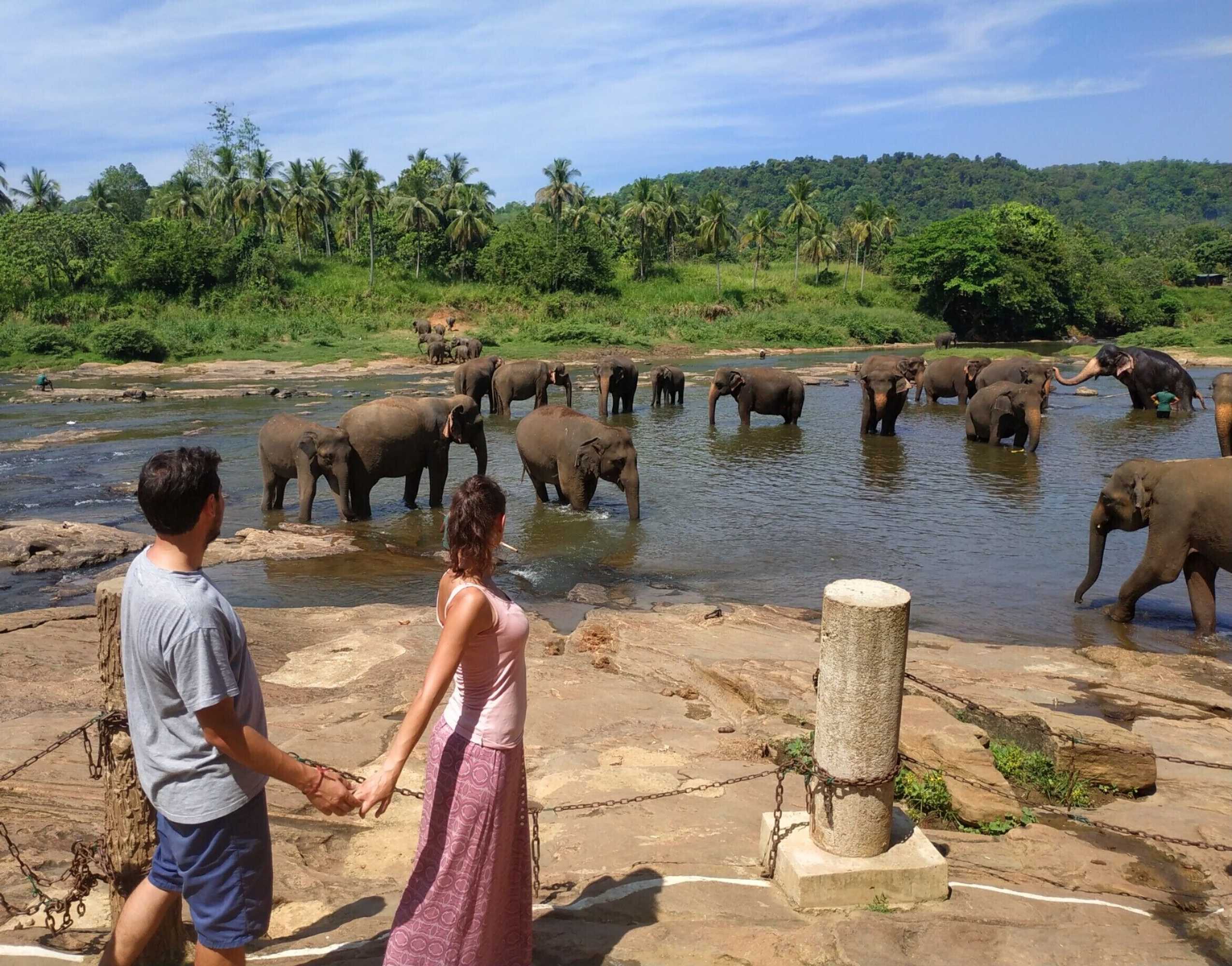 Gift card for Hotel Elephant Park - New Deal! Half Off Airport Pickups Available