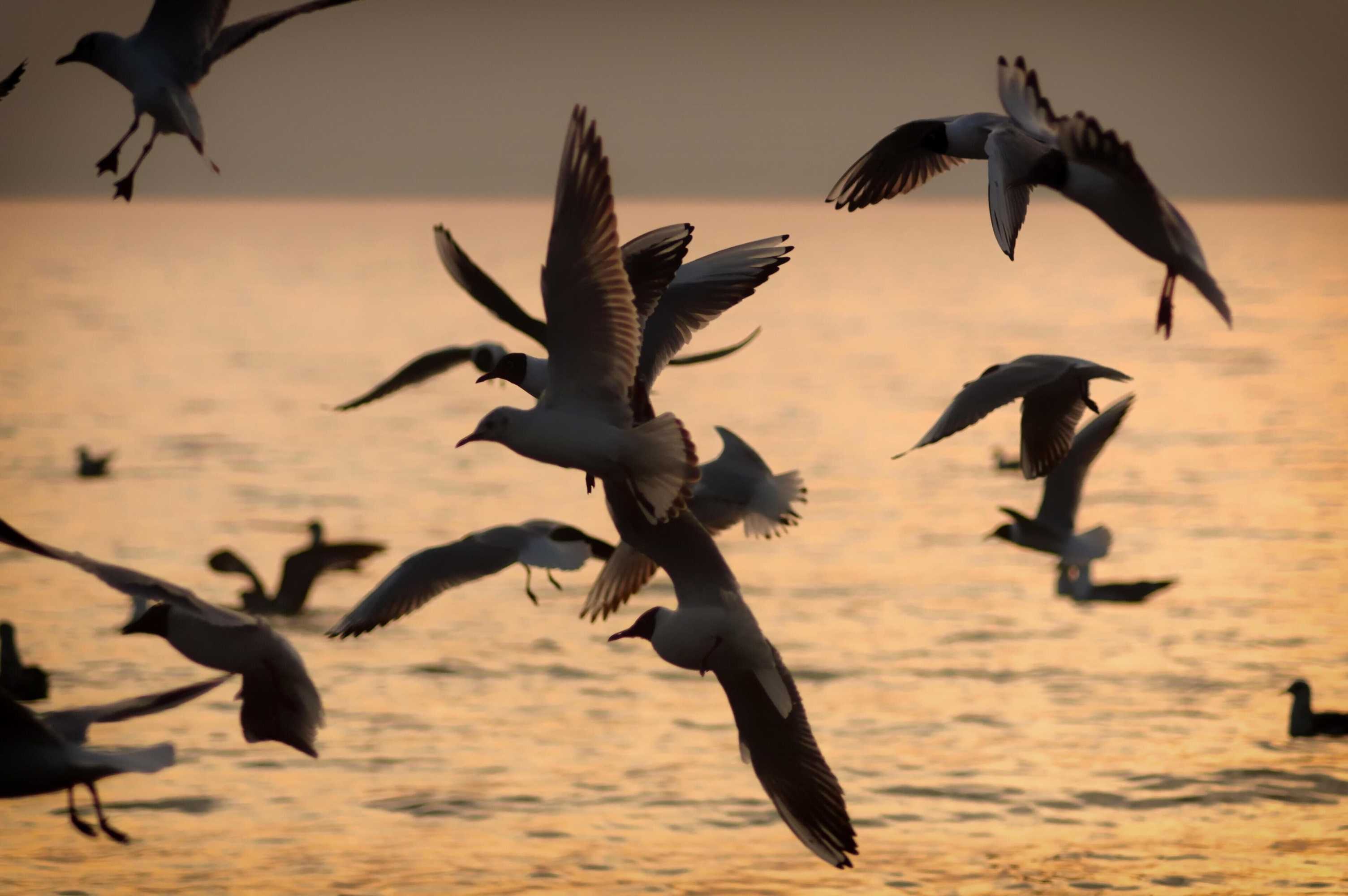 Gift card for Langham Place Xiamen