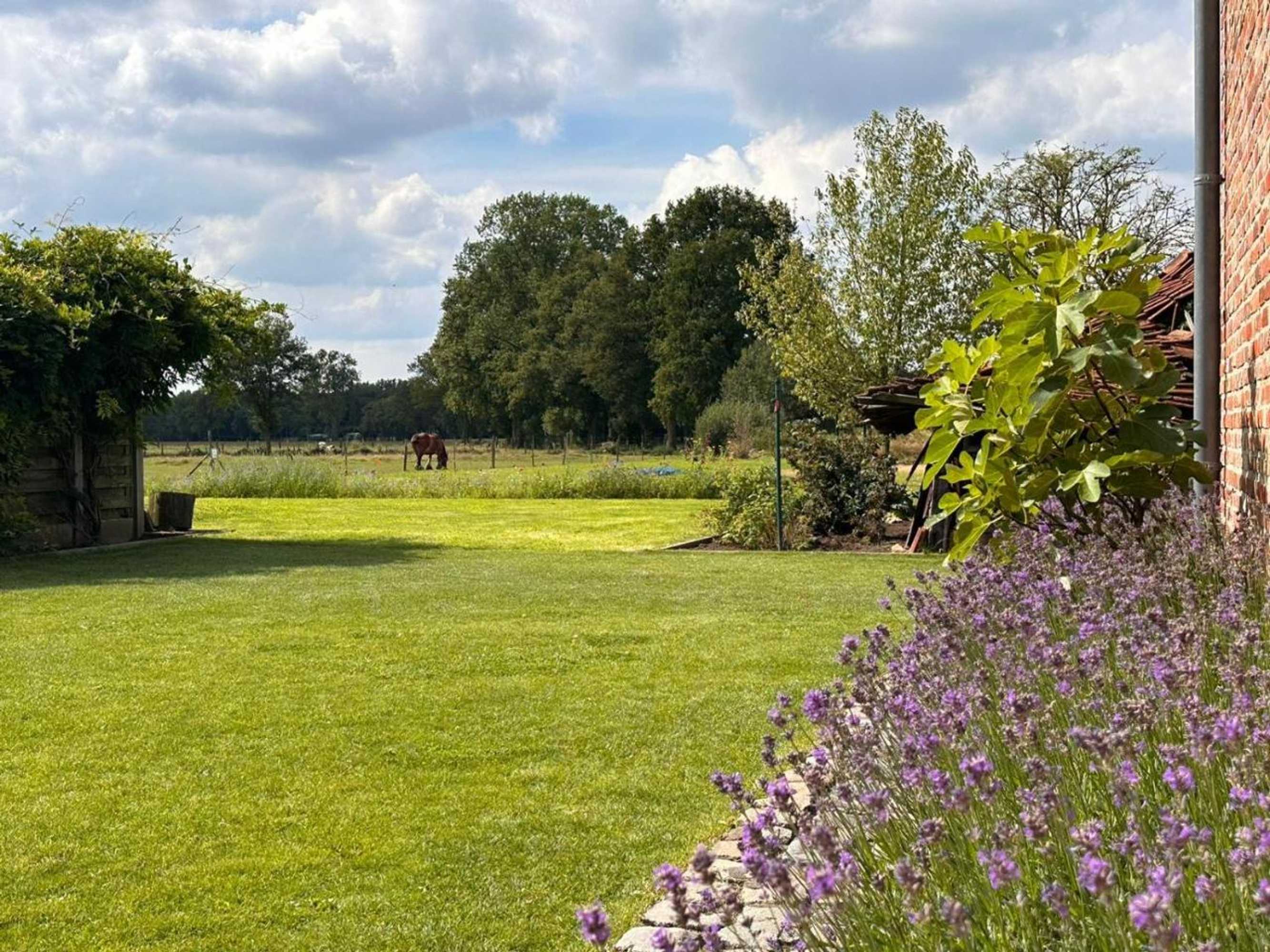 Gift card for B&b Droomzoet