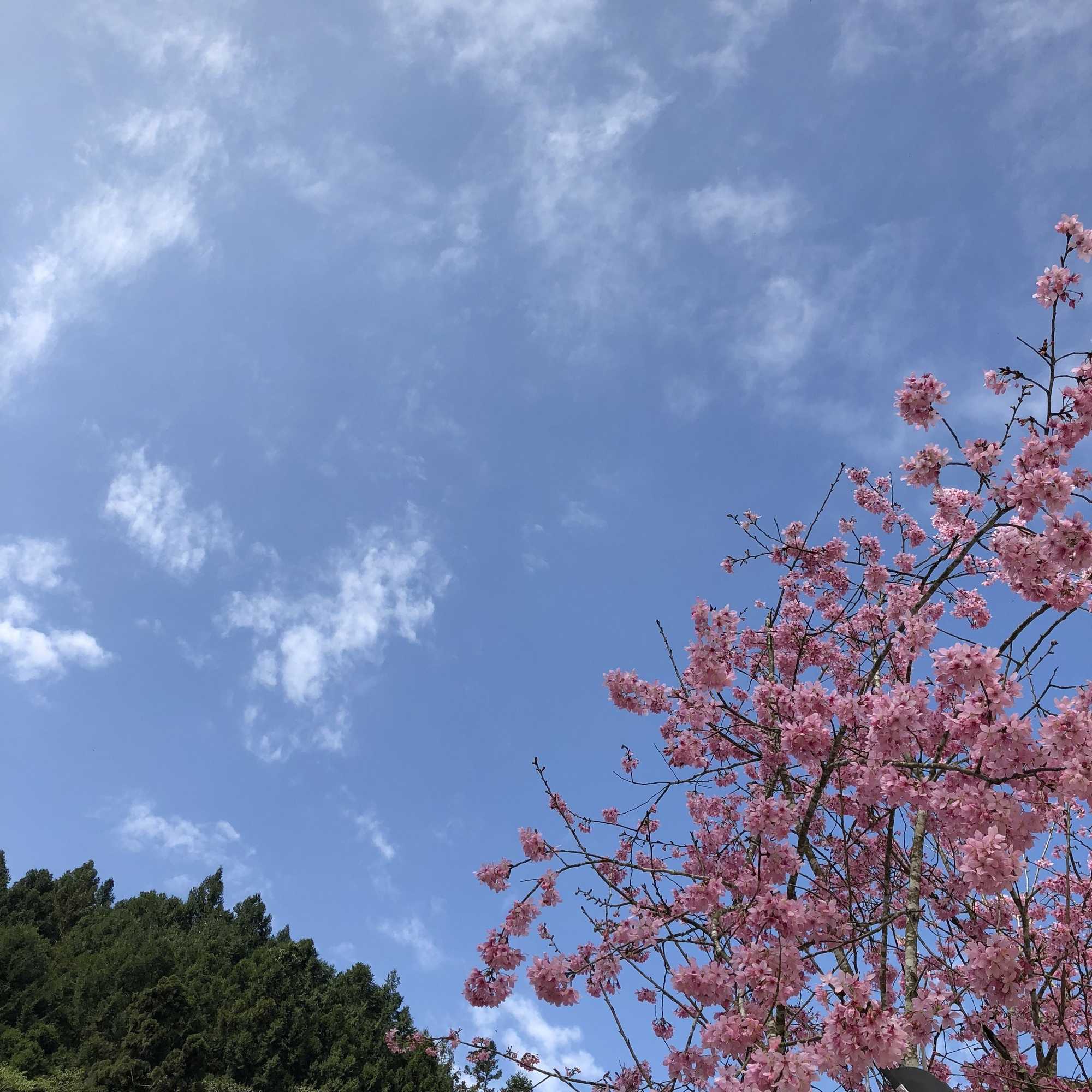 Gift card for Sin Ging Hong Resort