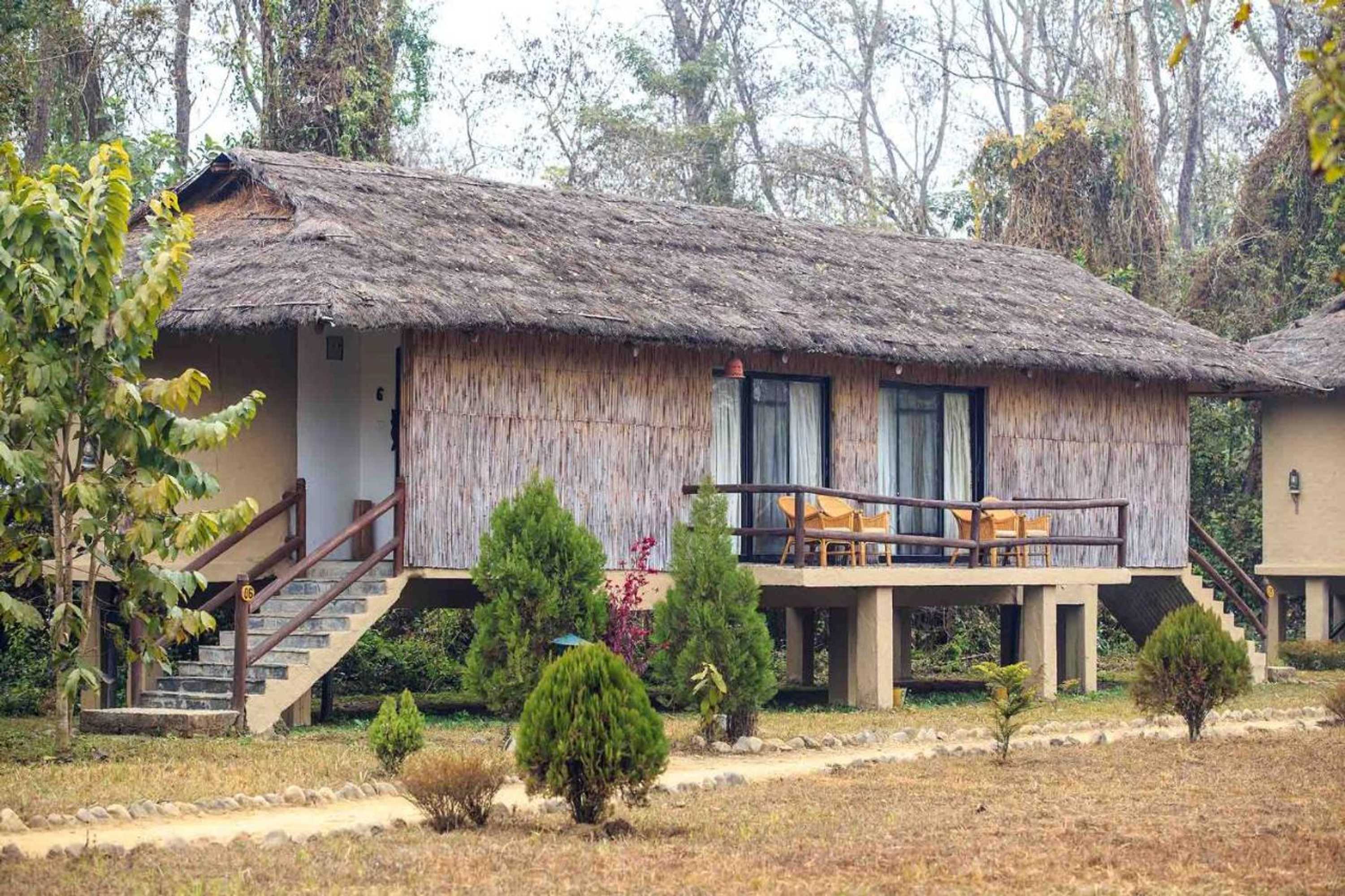 Gift card for Temple Tiger Green Jungle Resort