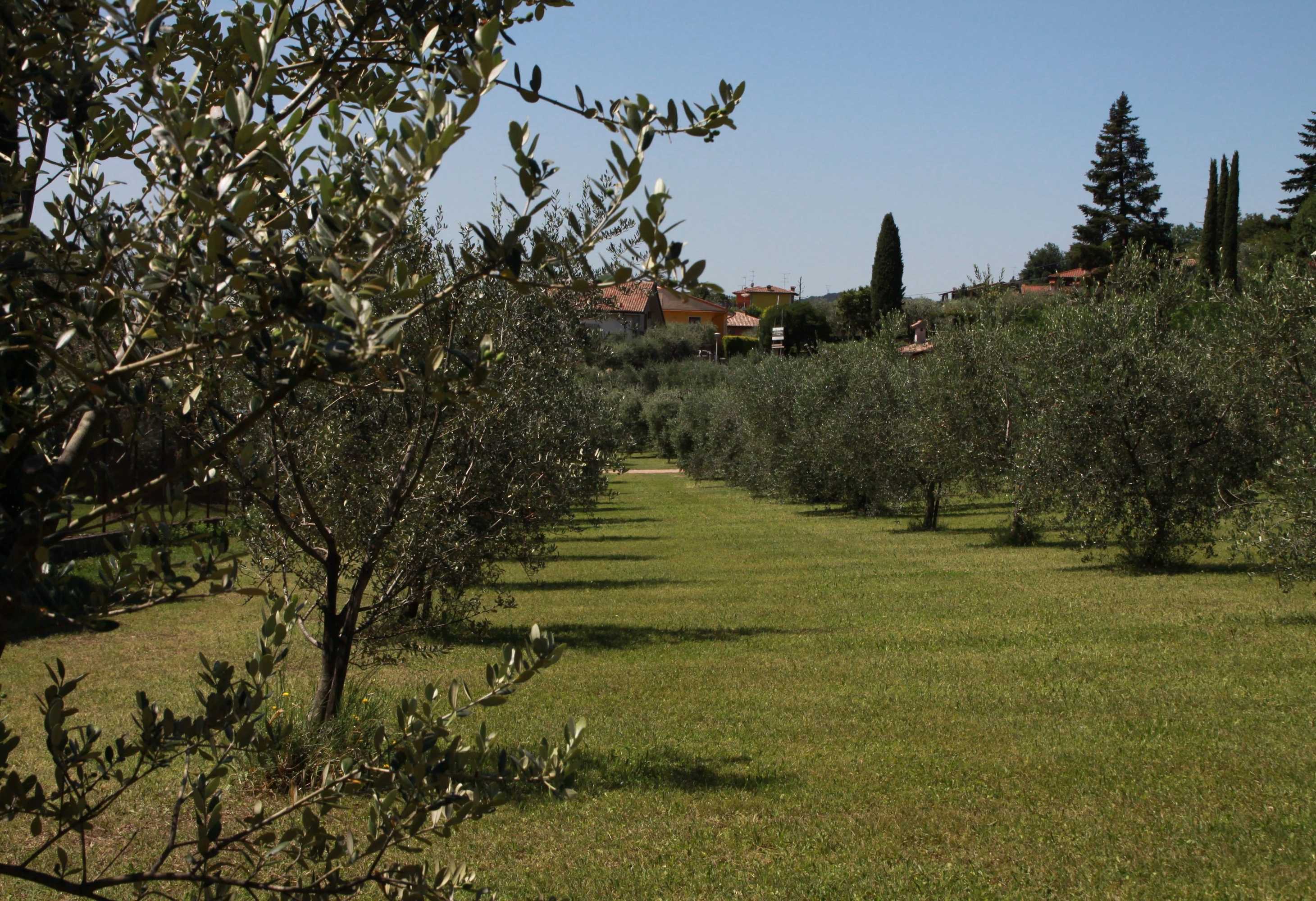 Gift card for Agriturismo Nonna Bettina Gift card for Agriturismo Nonna Bettina
