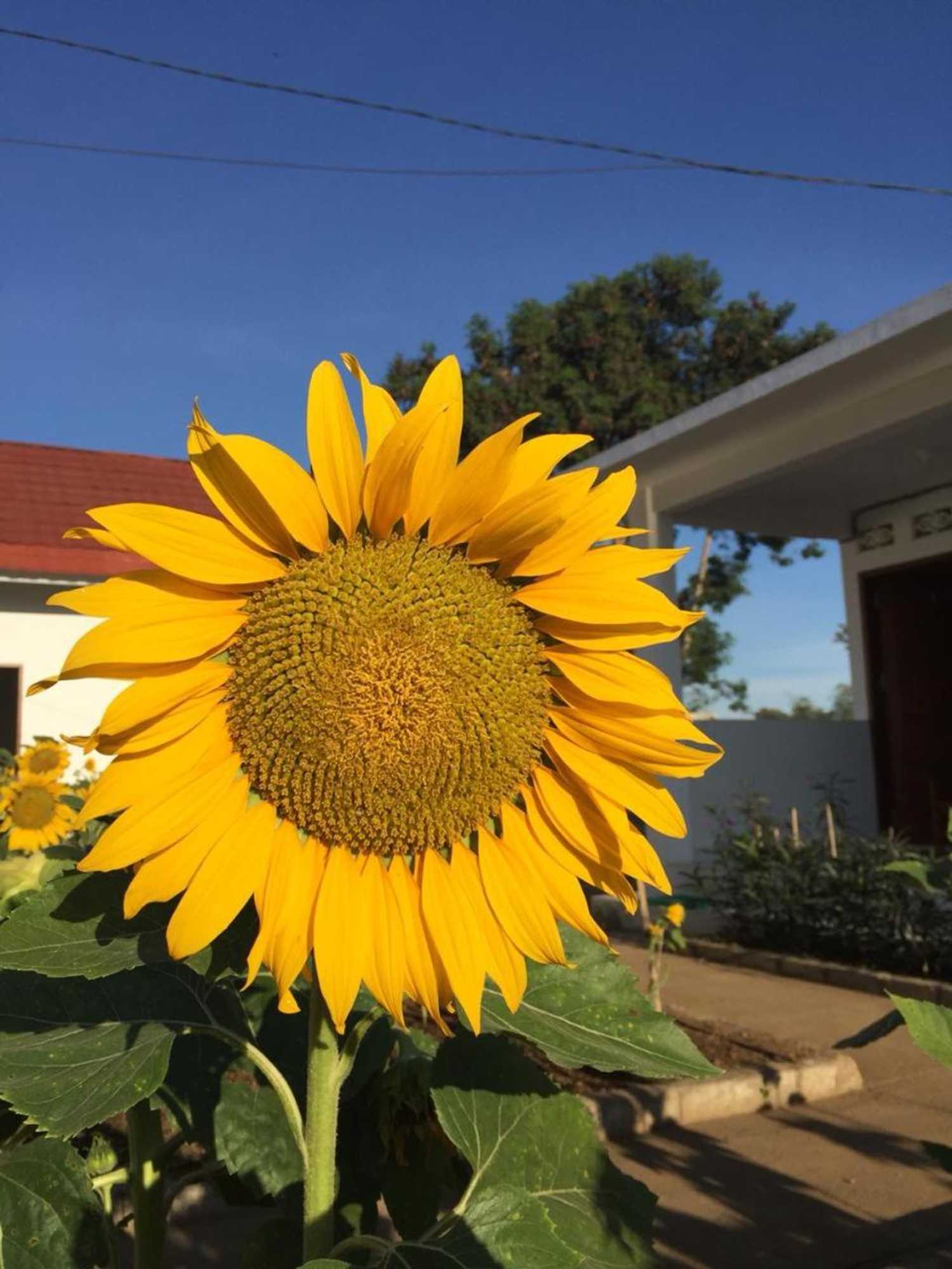 Gift card for Rinjani Hill Hotel