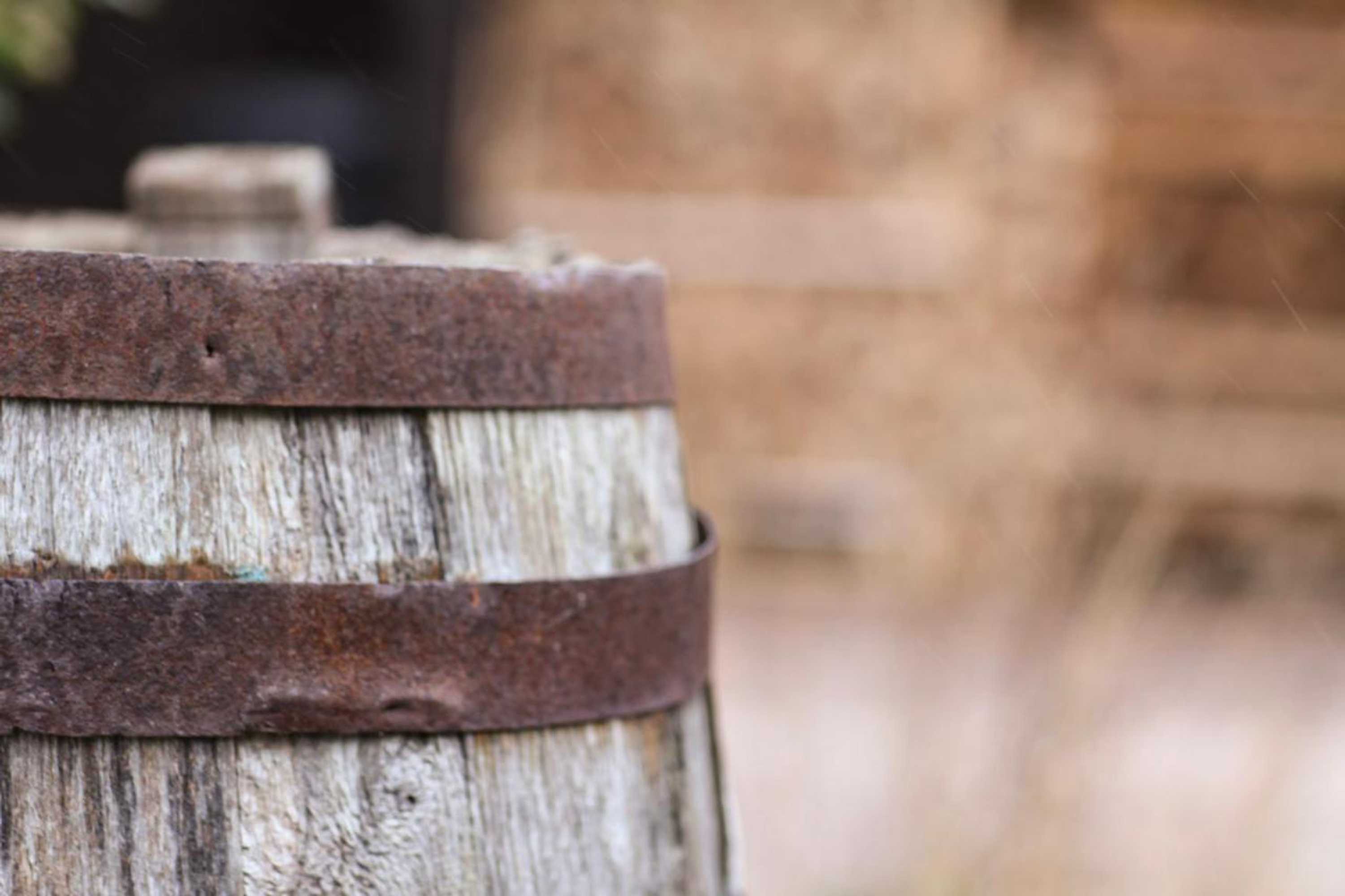 Gift card for Wijngaard Saalhof