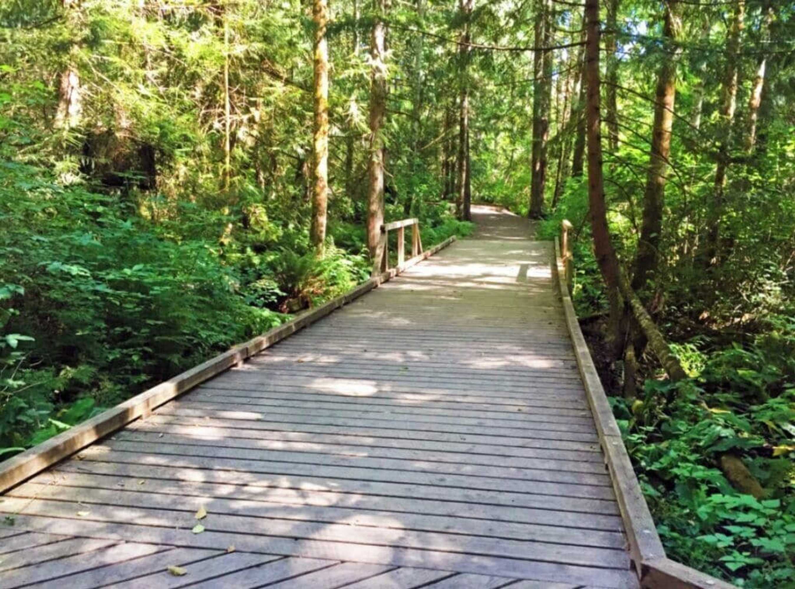 Gift card for The Maritime Inn