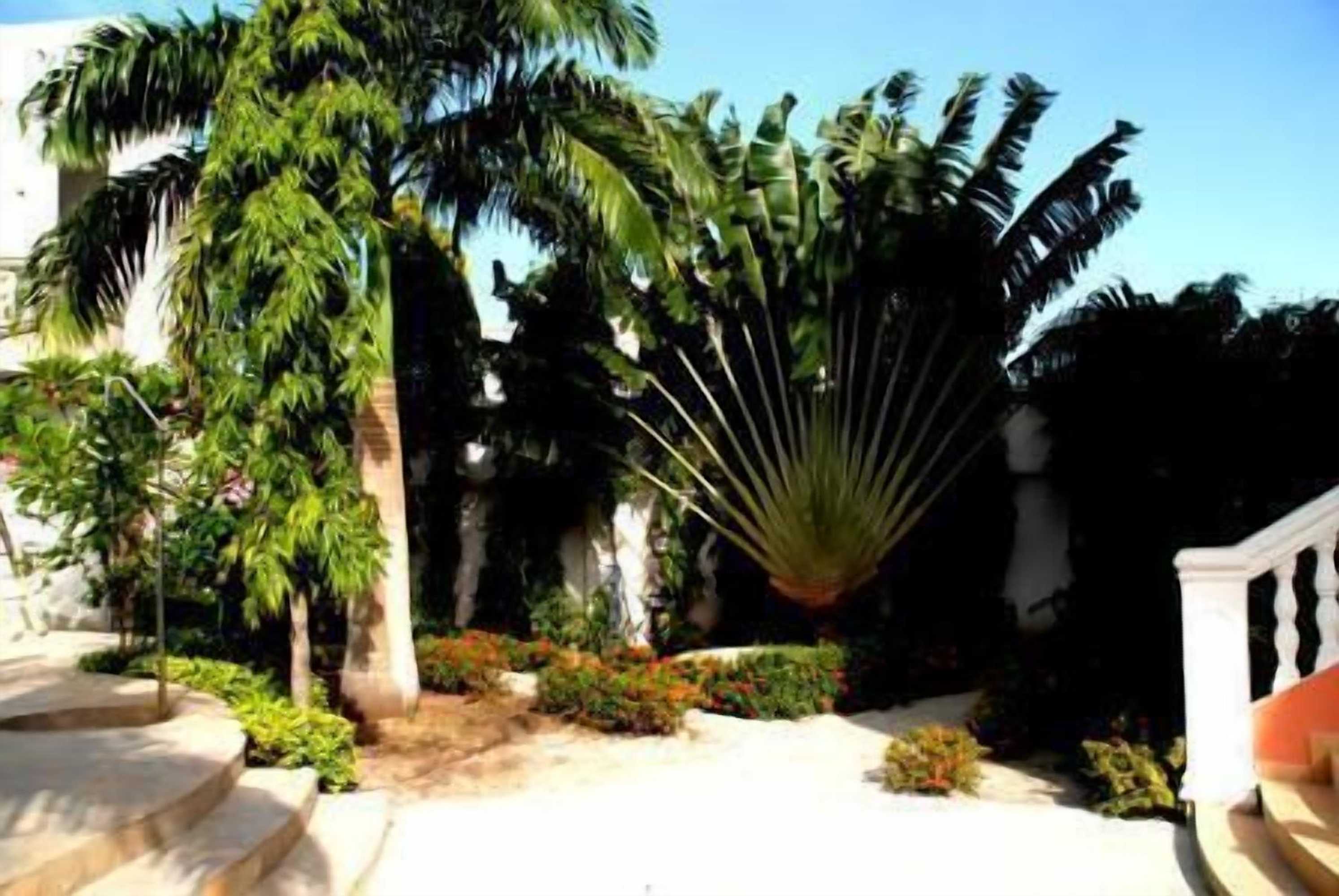 Gift card for Hôtel Casa Cornelia