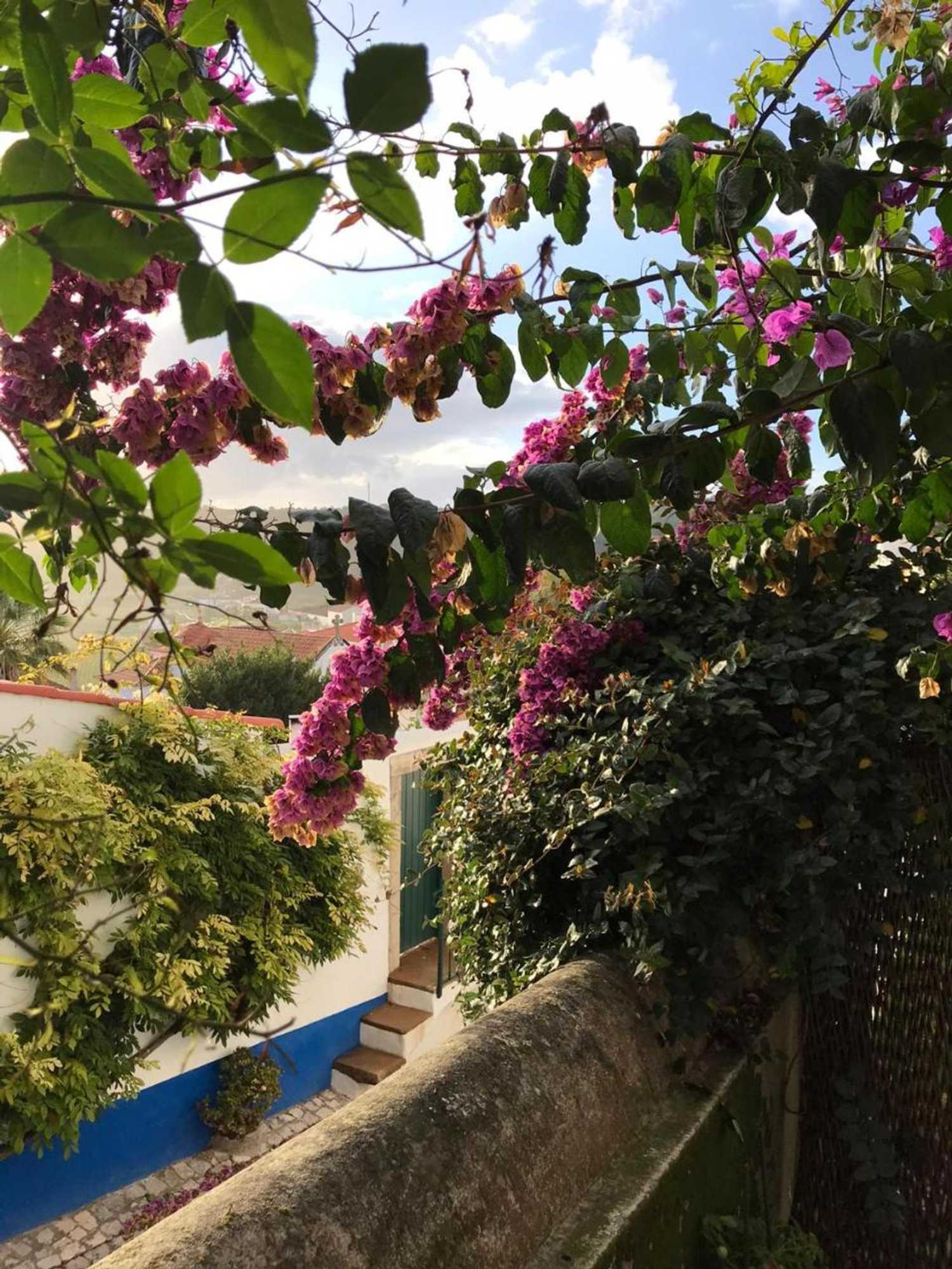 Gift card for Casa Picva