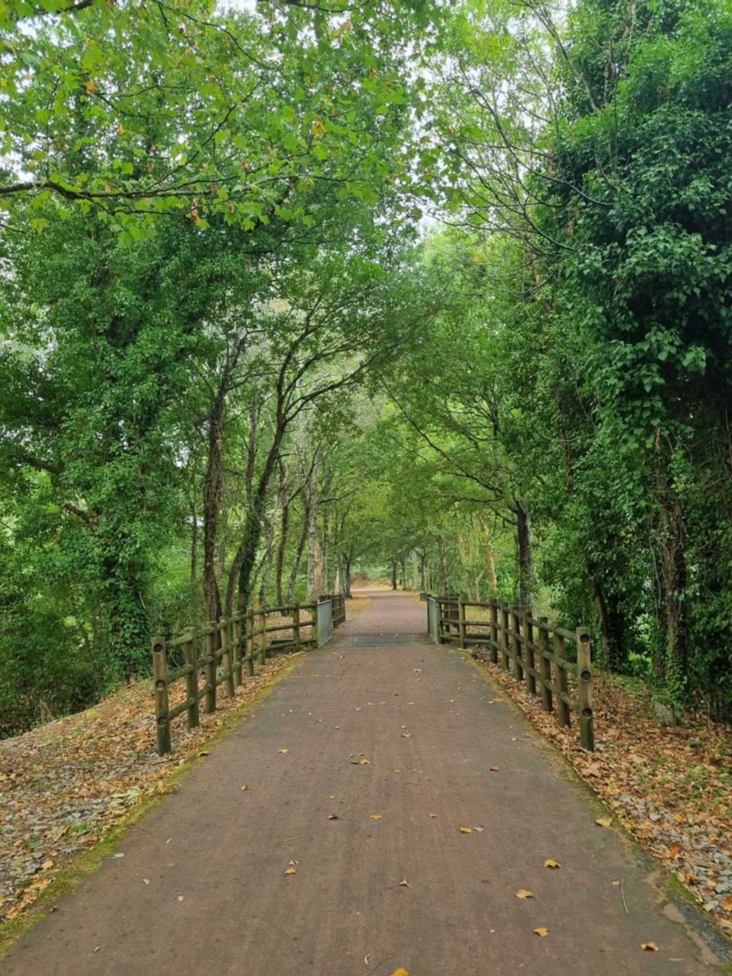 Gift card for Casa do Pinheiro Manso