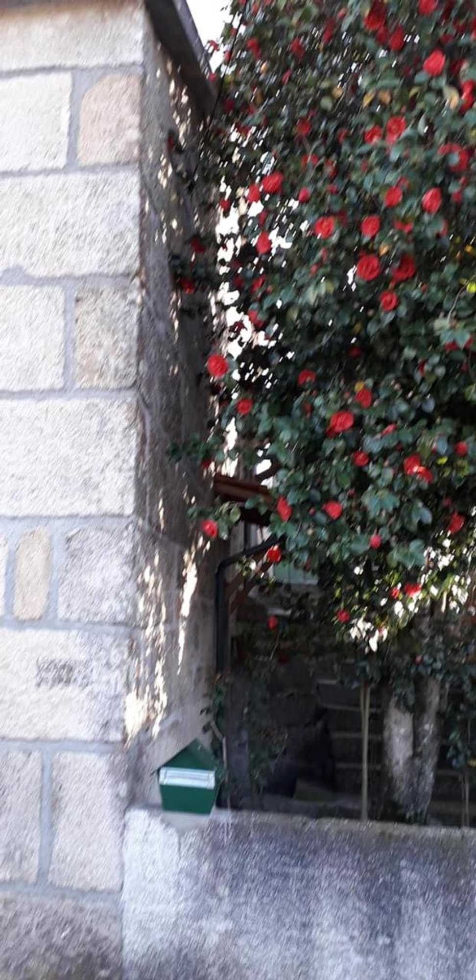 Gift card for Casa do Forno da Aldeia - Serra da Estrela