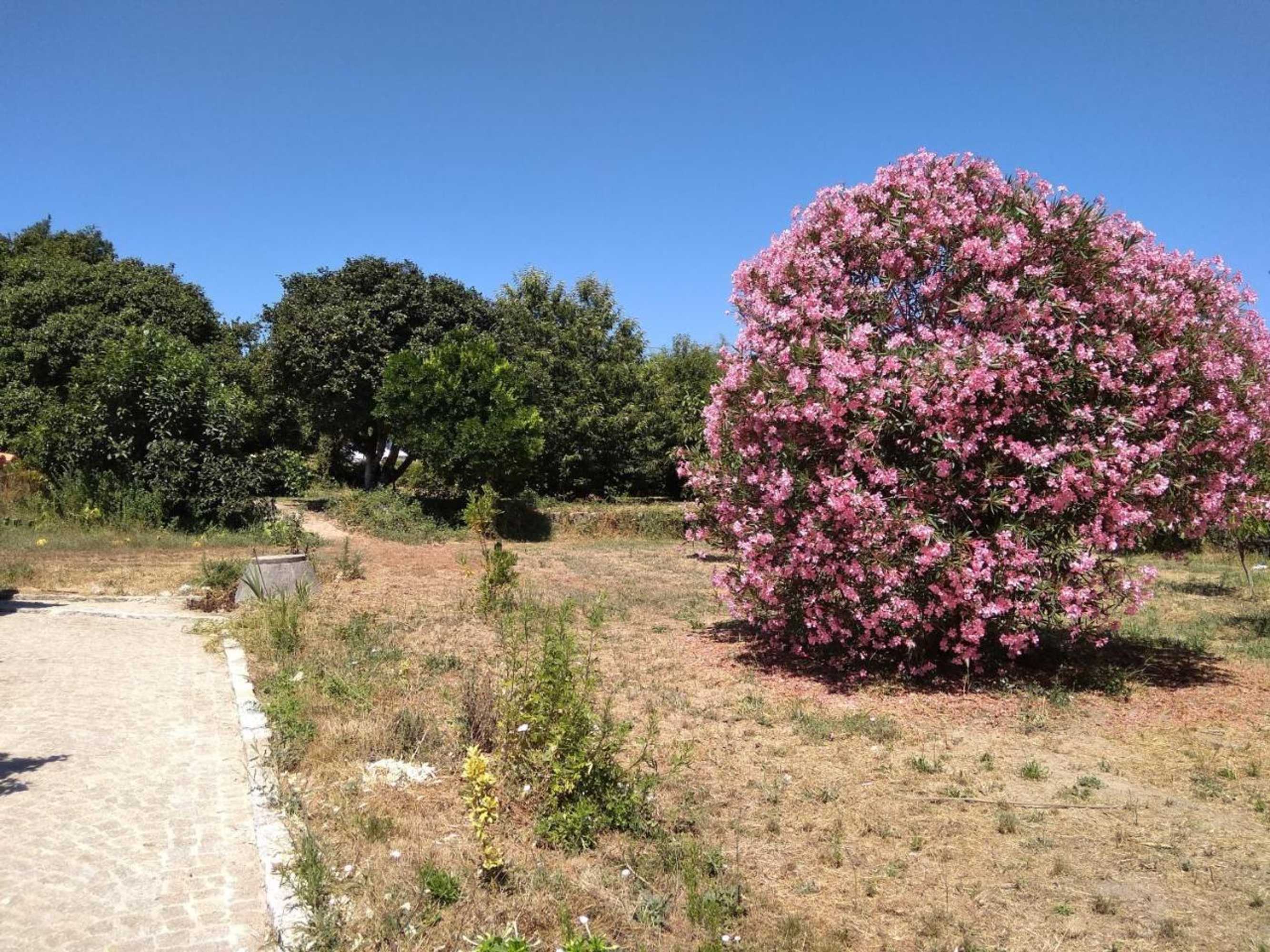 Gift card for Casa do Forno, Viseu