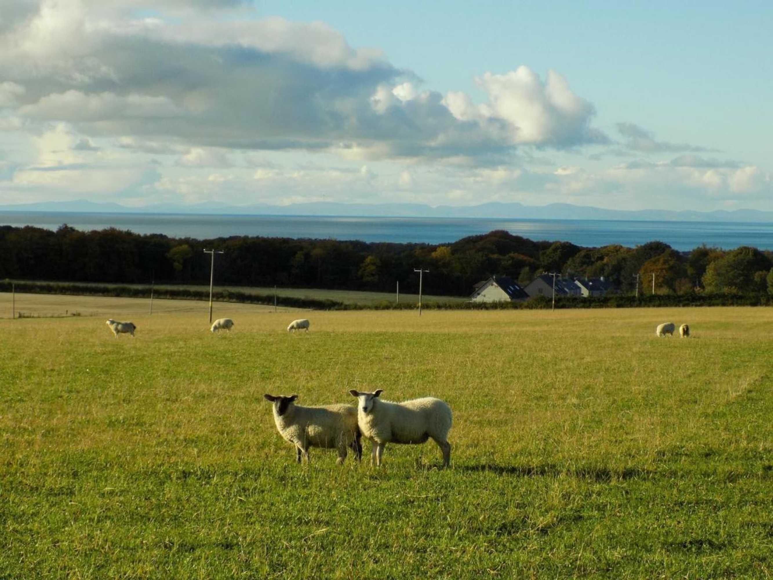 Gift card for Greencraig Pods