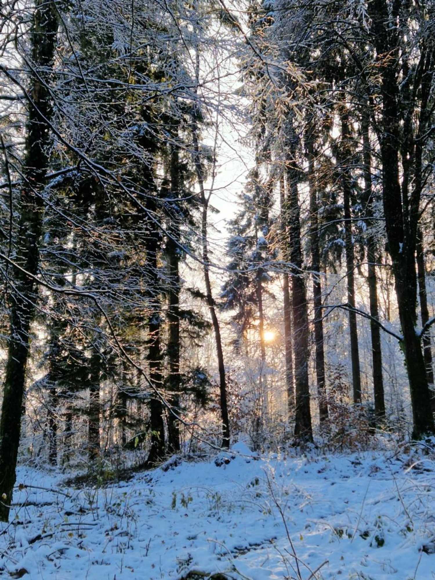 Gift card for Villa Kunterbunt