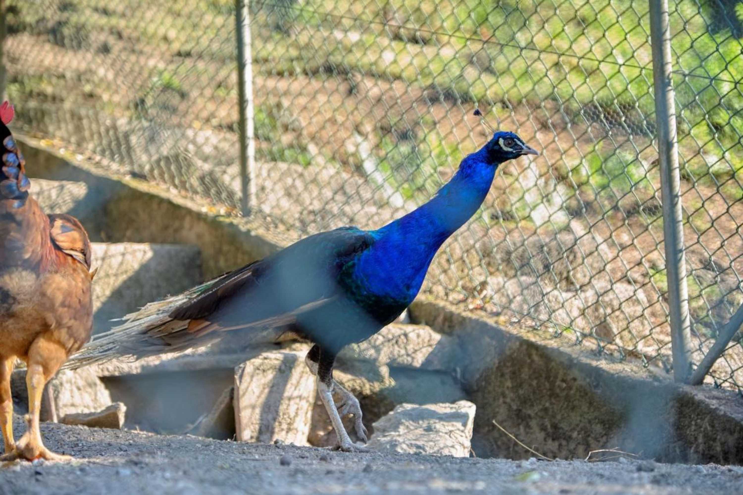 Gift card for Quinta de Silharezes, Lda