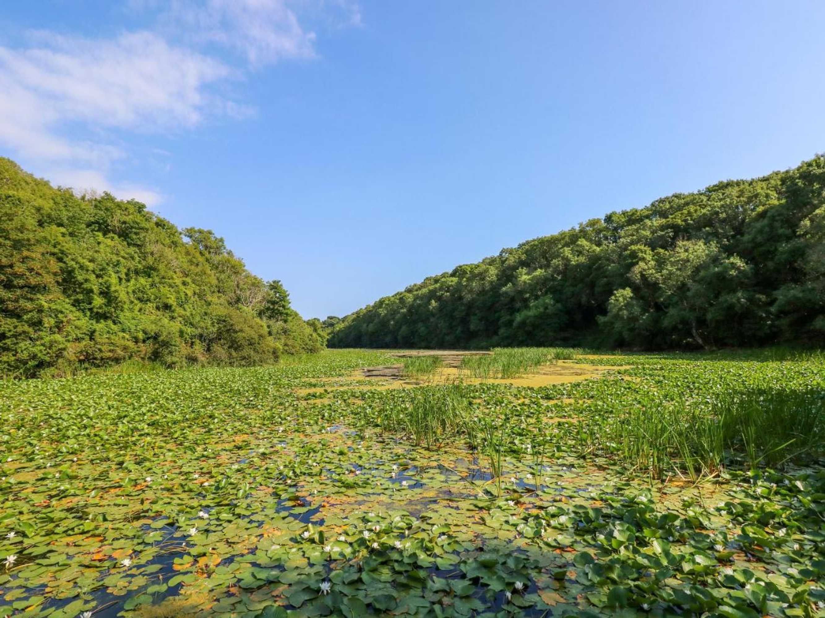 Gift card for Shepherds Hut - The Crook