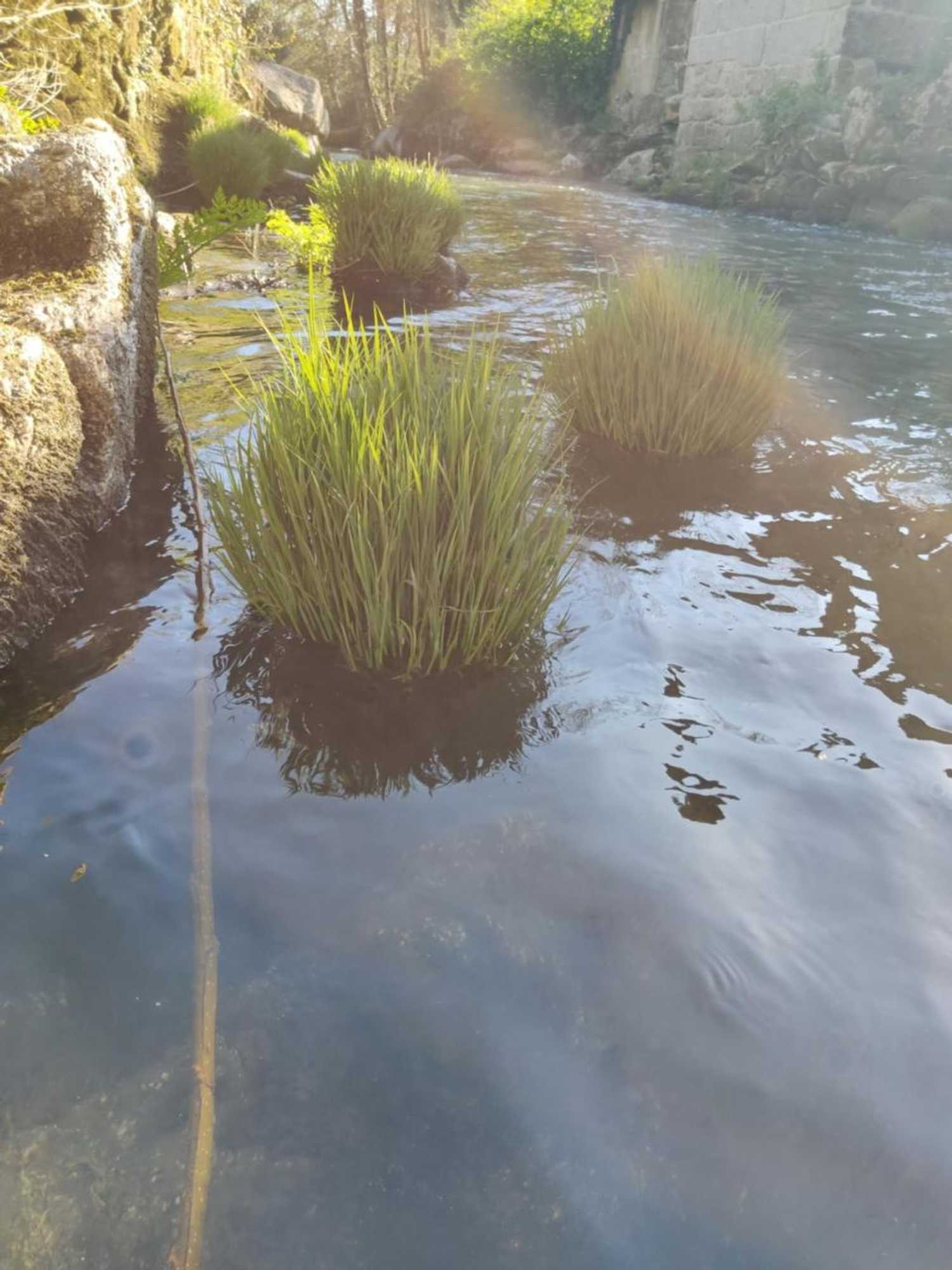 Gift card for Rilhadas Casas de Campo