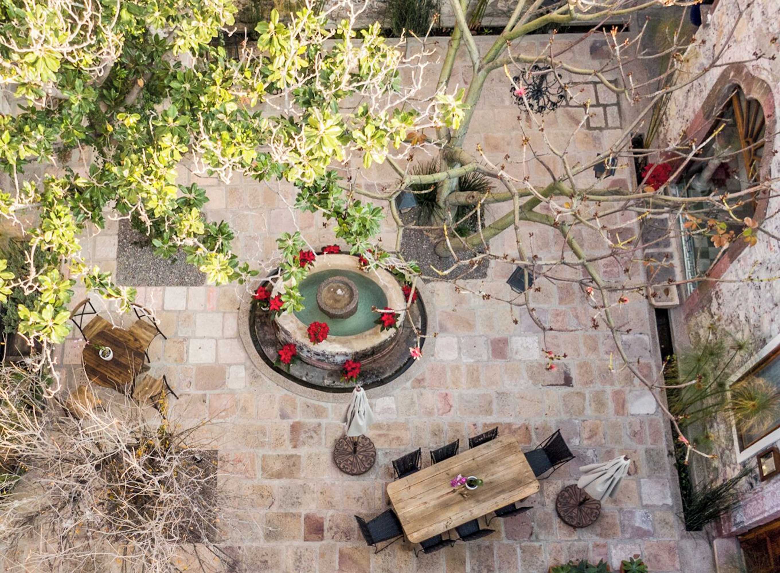 Gift card for Orchid House San Miguel de Allende Gift card for Orchid House San Miguel de Allende