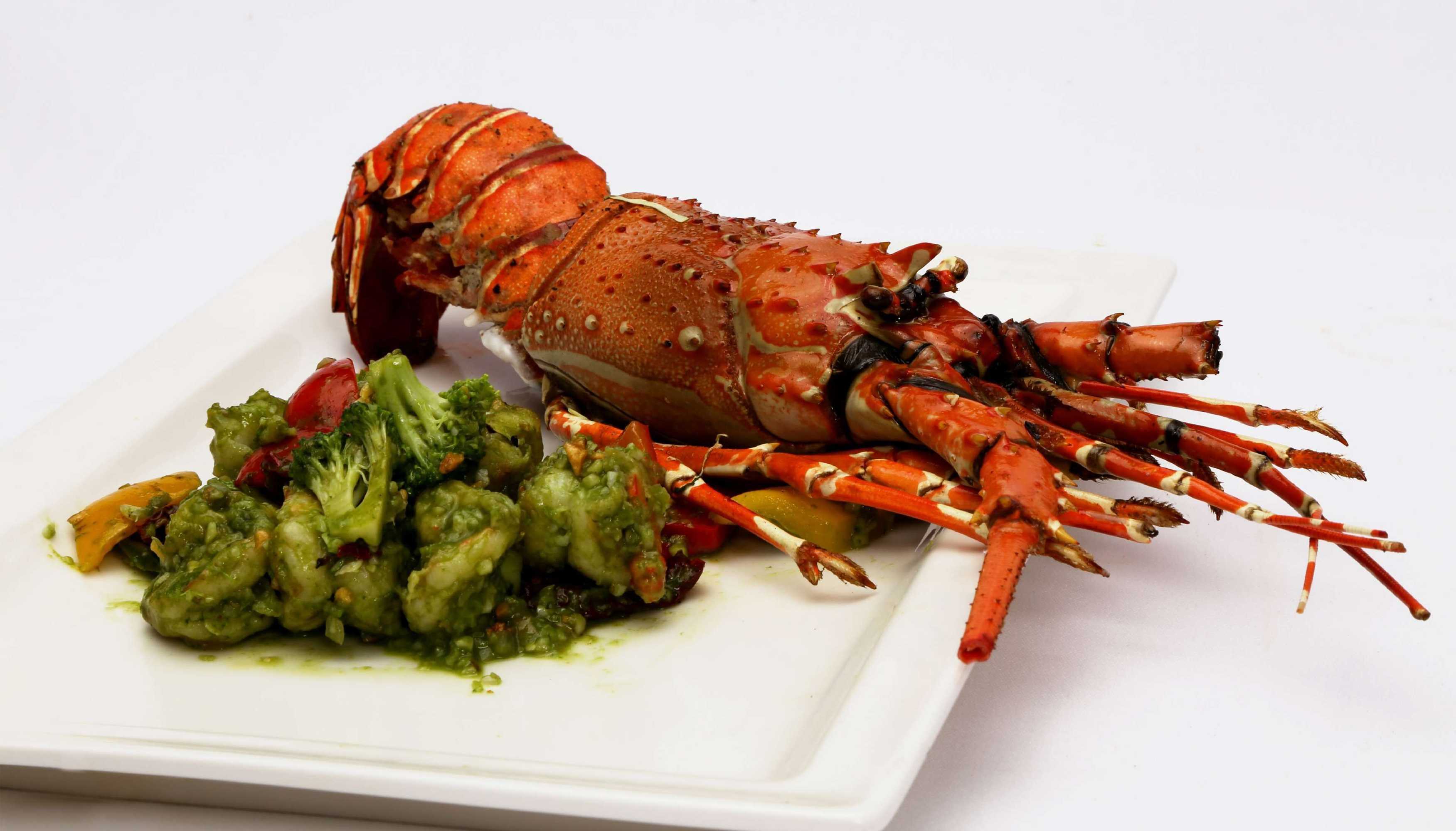 Gift card for Country Inn & Suites by Radisson, Navi Mumbai Gift card for Country Inn & Suites by Radisson, Navi Mumbai