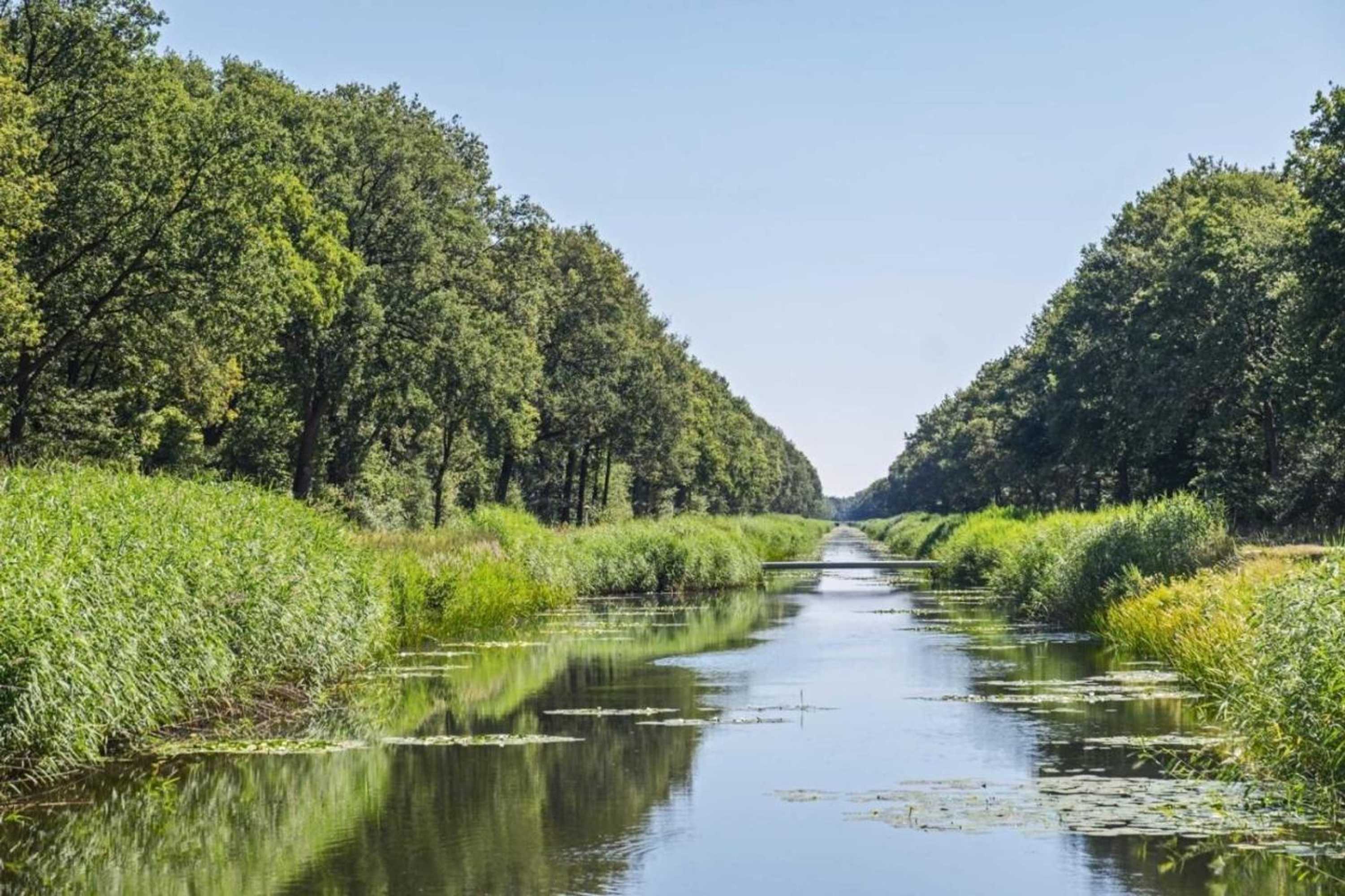 Gift card for Nino-Boardinghouse 2