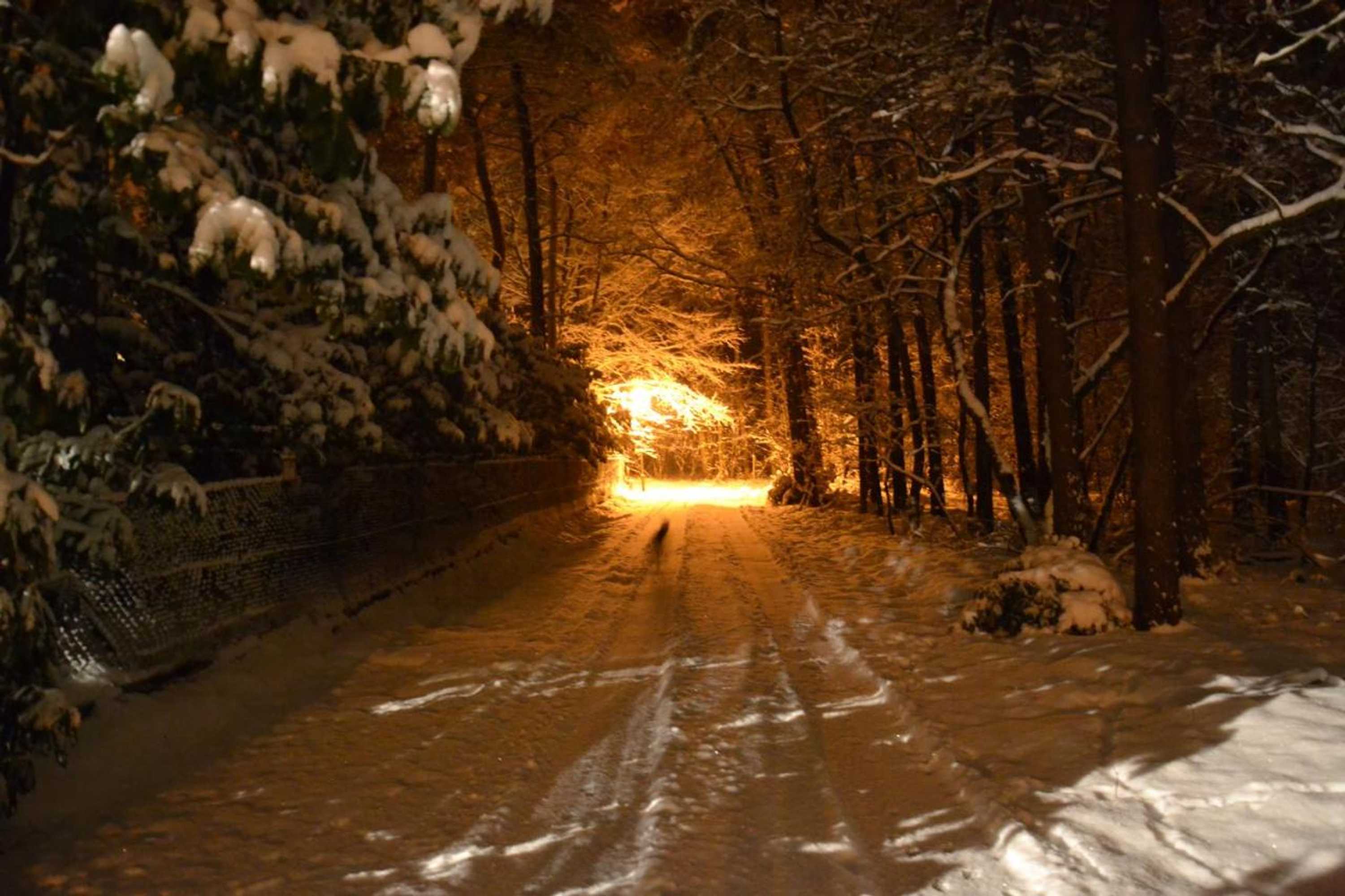 Gift card for B&b Wepa-Hof