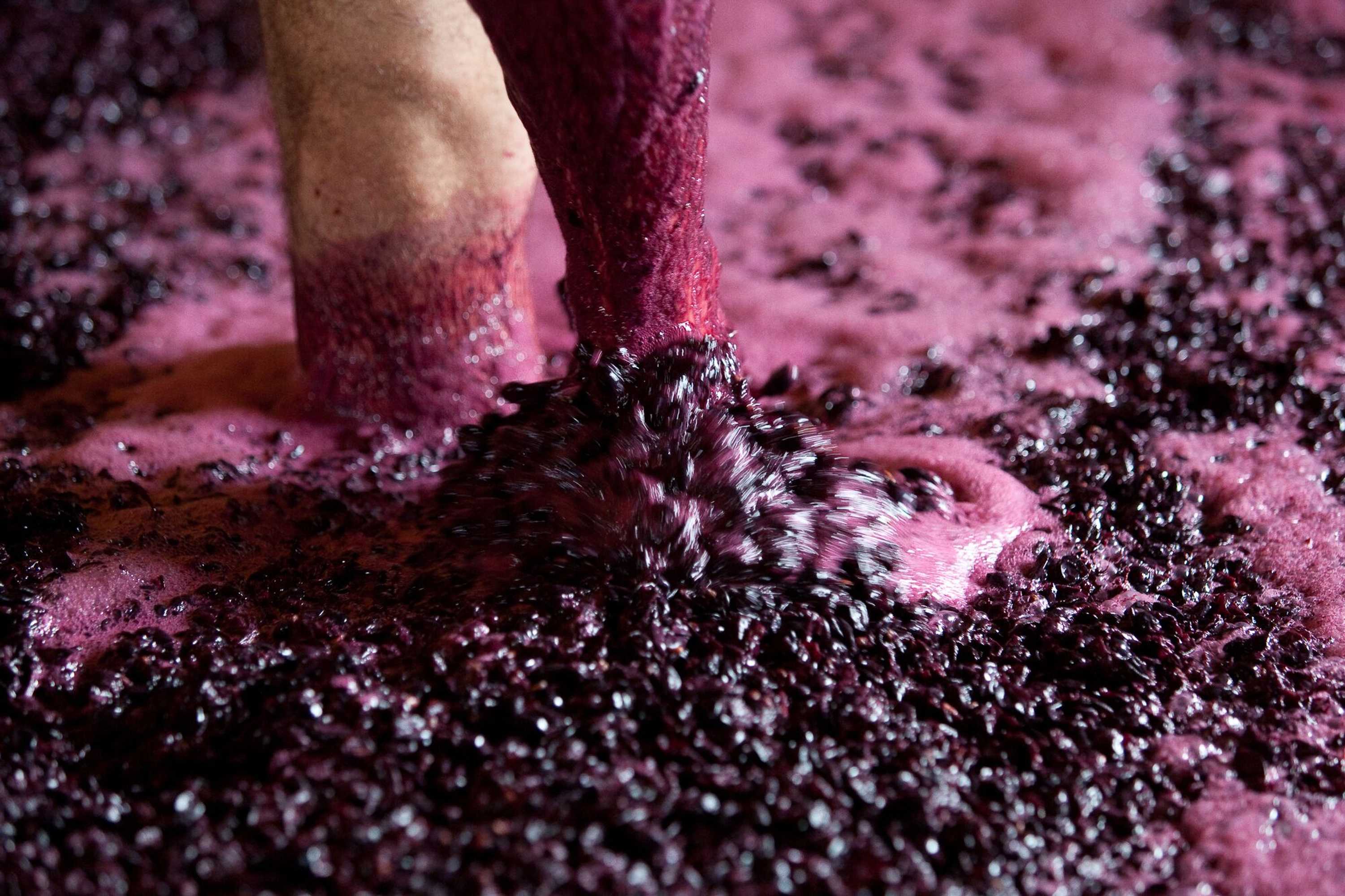 Gift card for Quinta DA Faisca - Agro Turismo Gift card for Quinta DA Faisca - Agro Turismo