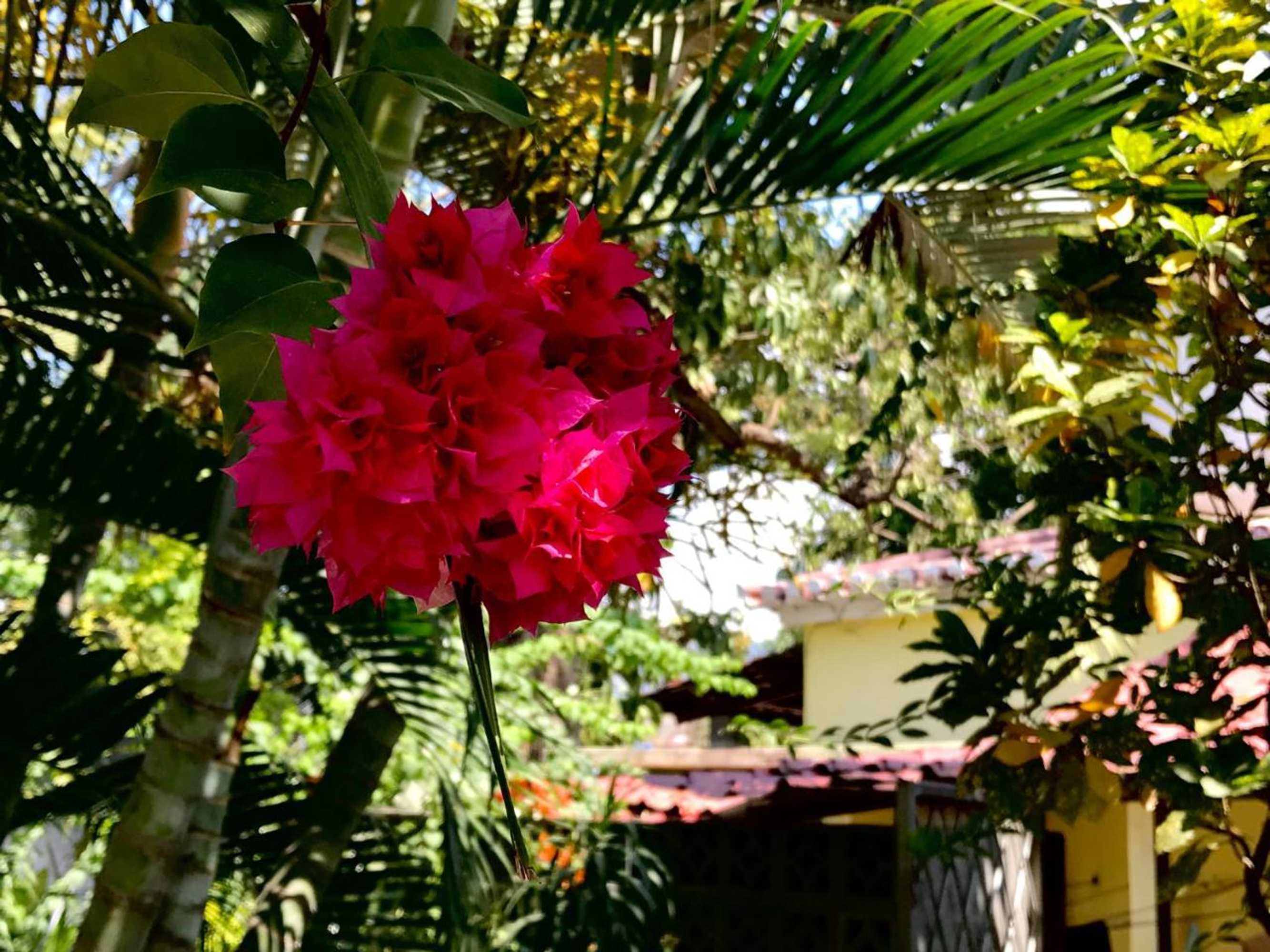 Gift card for Casa do Sândalo Boutique Guest House