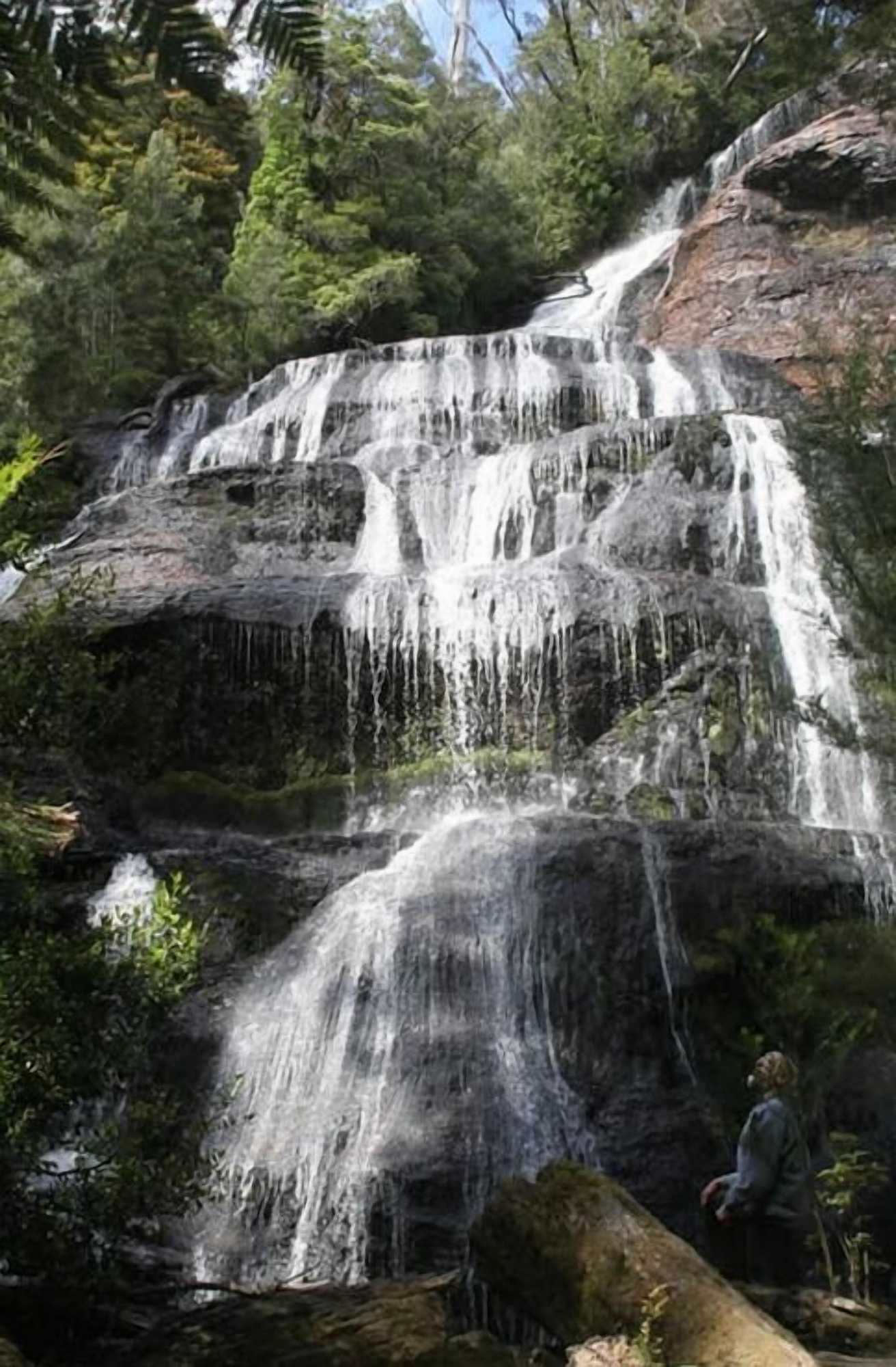 Gift card for Paradise House