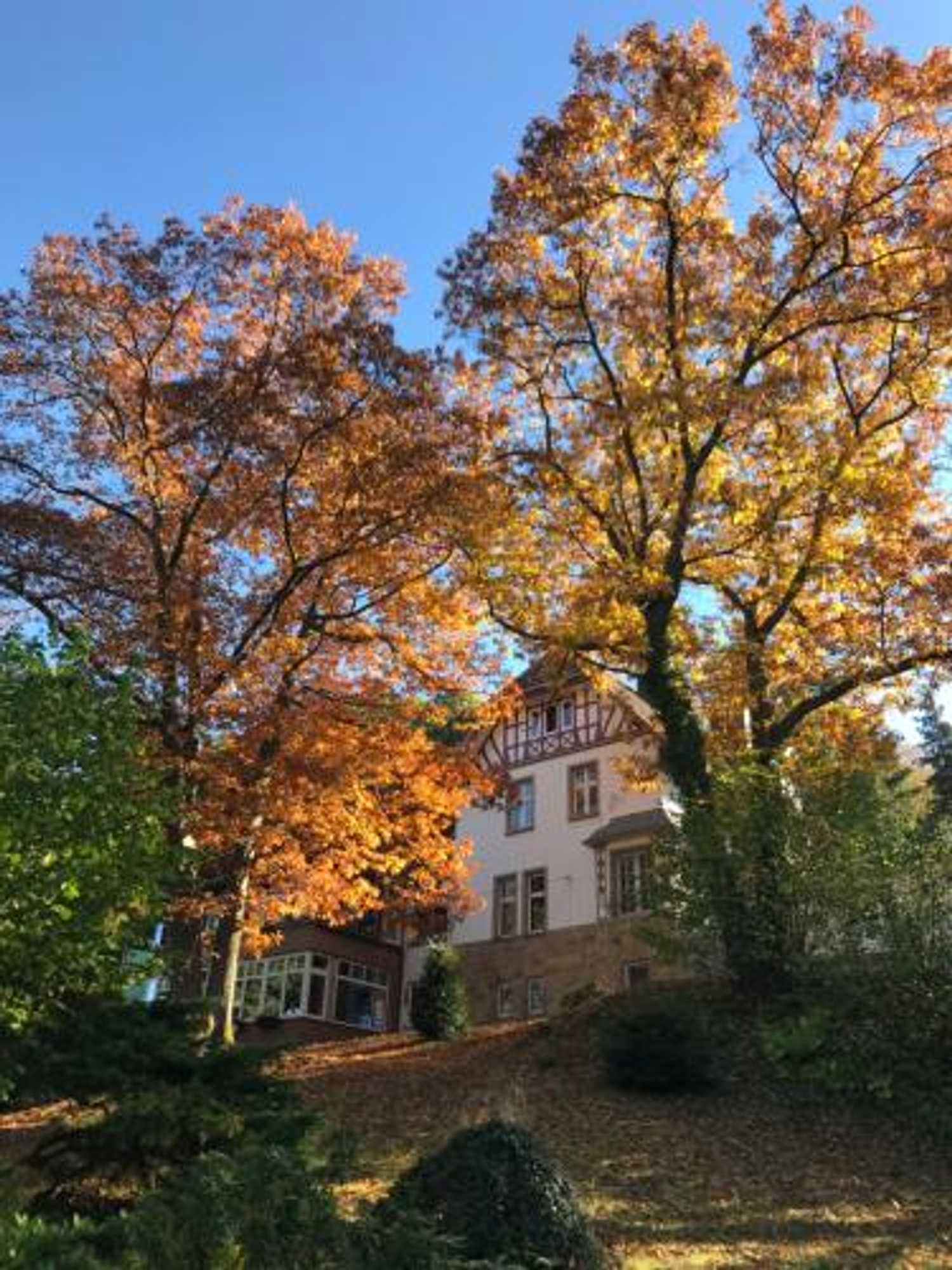 Gift card for Waldhotel Bad Münstereifel Gift card for Waldhotel Bad Münstereifel