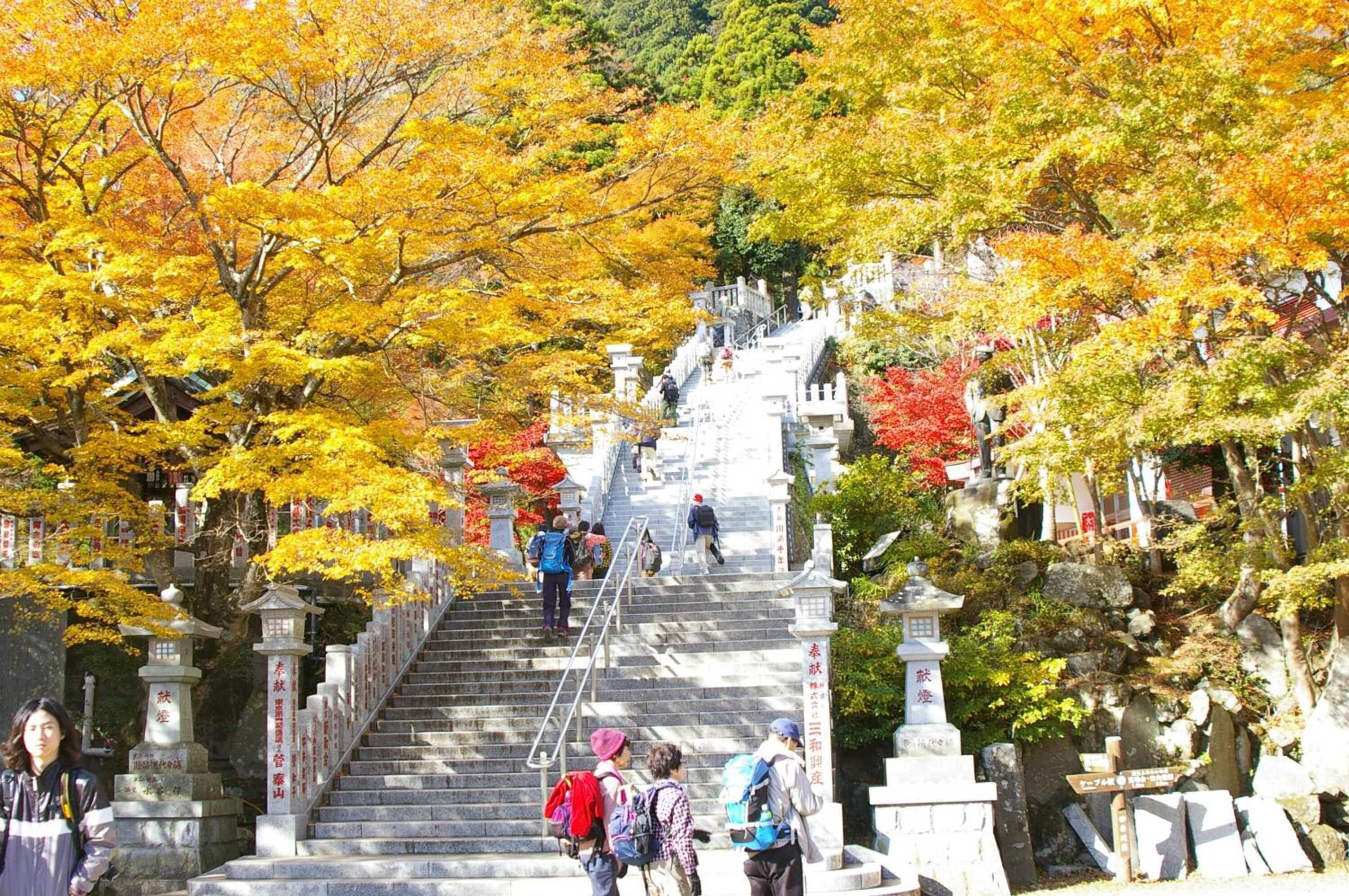 Gift card for Sanso Nagisa