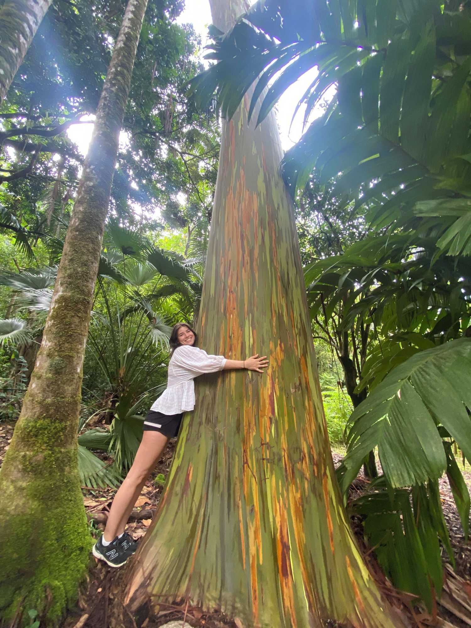 Gift card for Howzit Hostels Gift card for Howzit Hostels