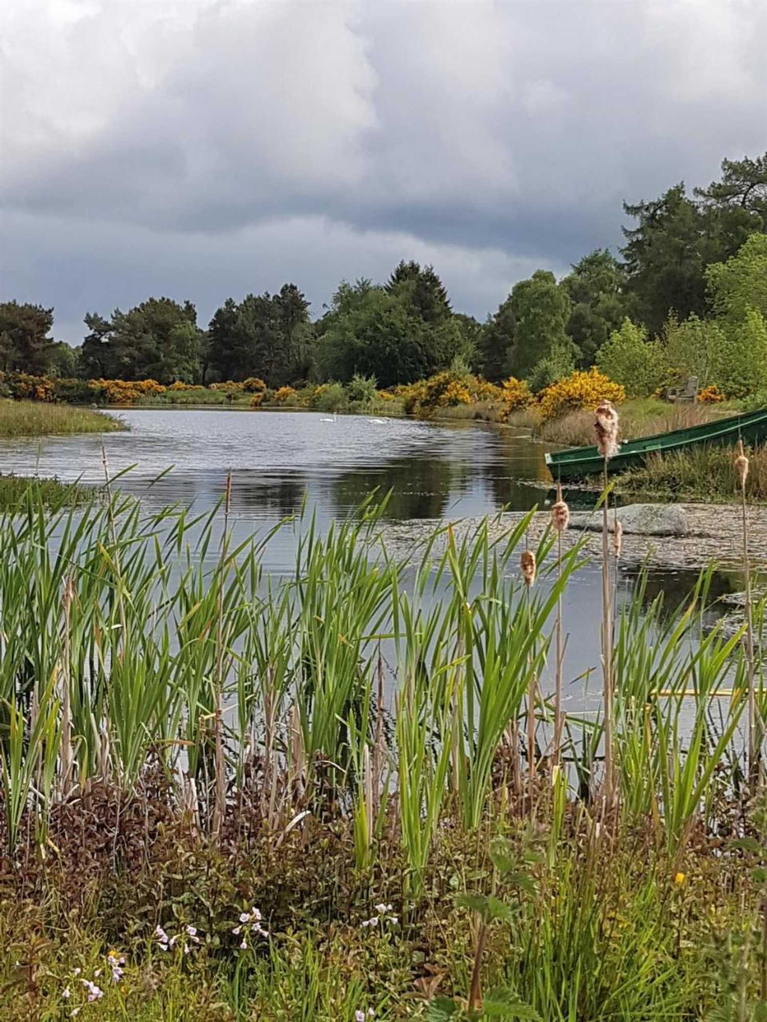 Gift card for Heathfield Highland Estate