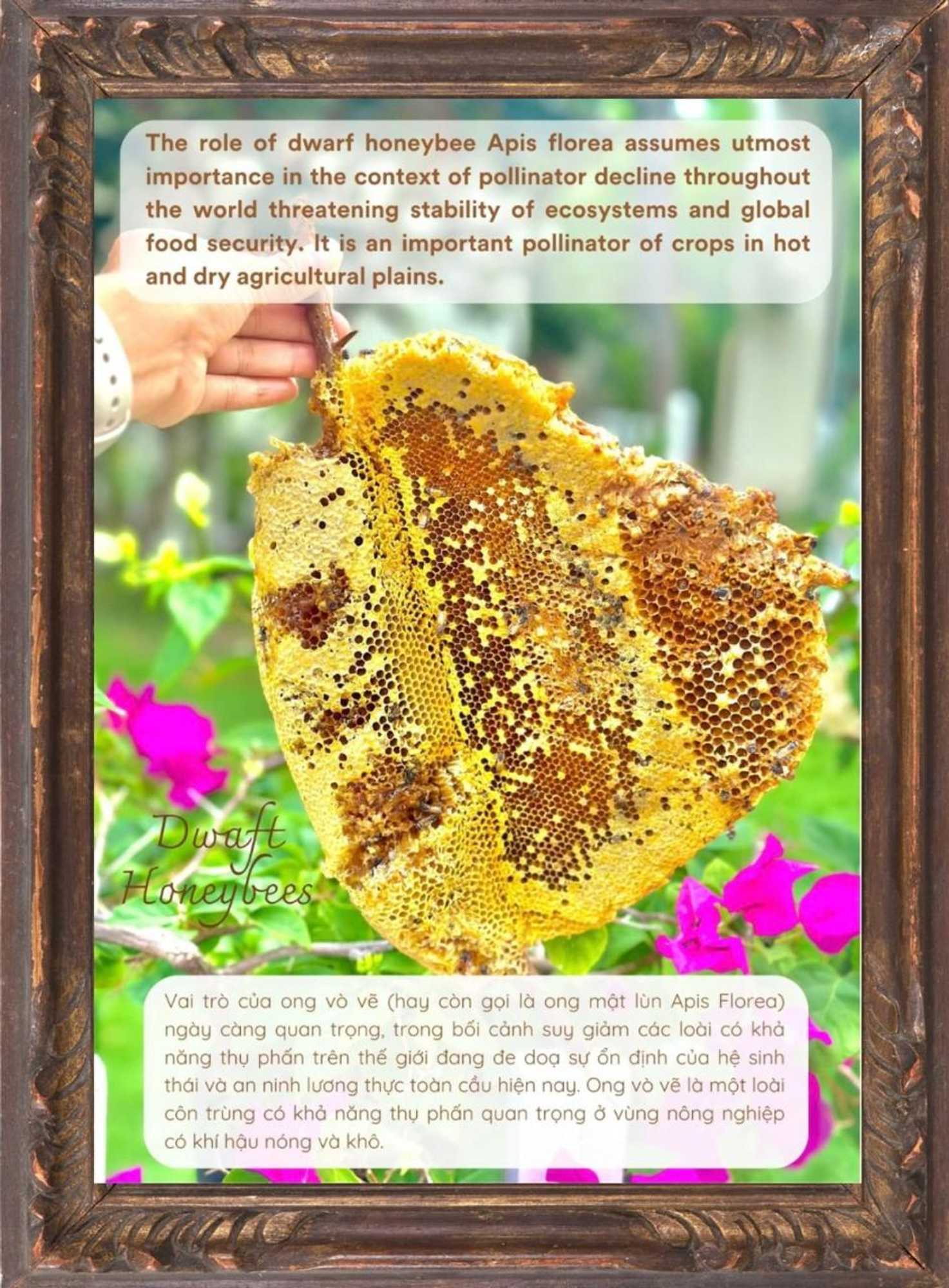 Gift card for Paradise Resort Doc Let Gift card for Paradise Resort Doc Let