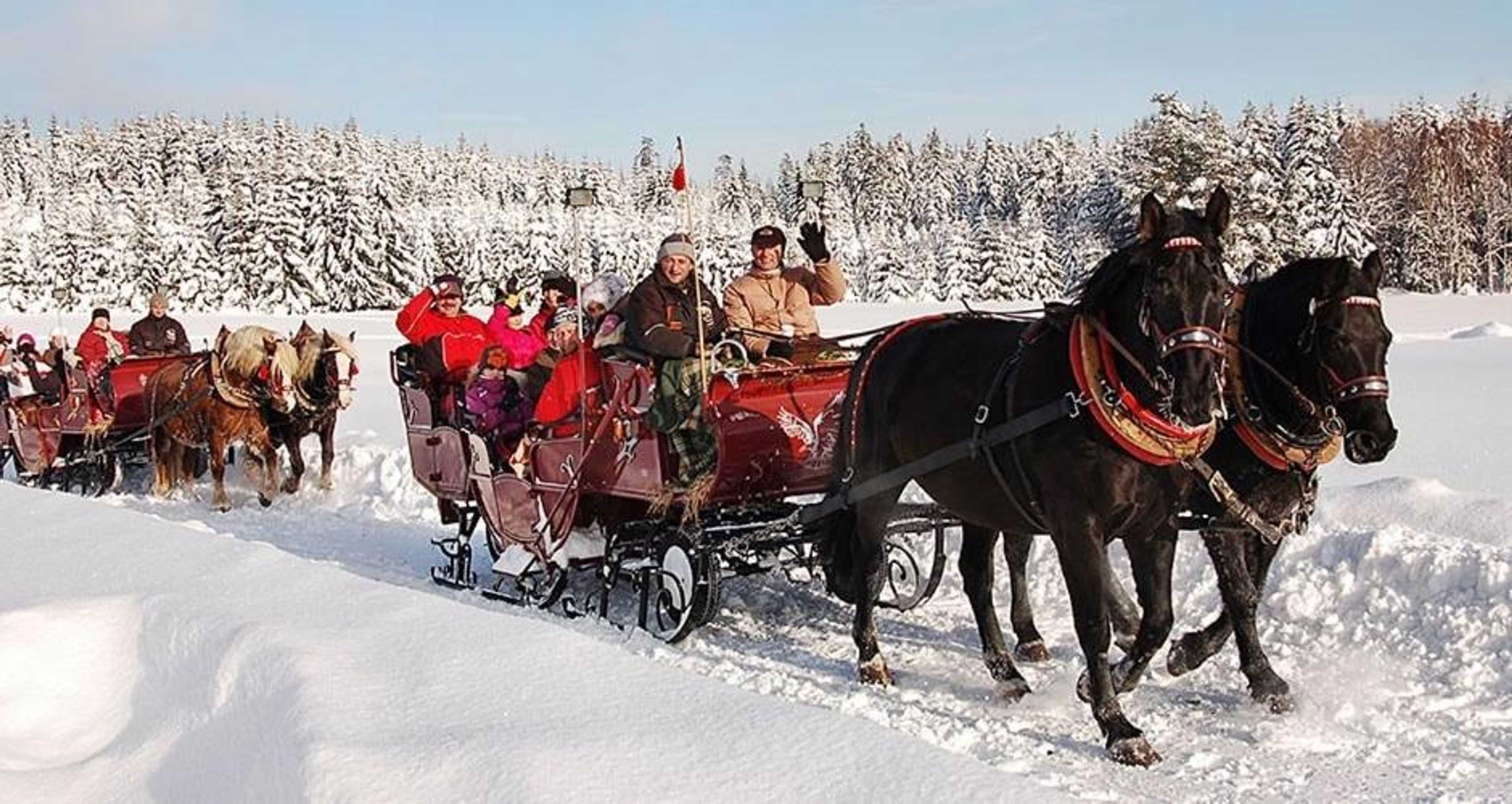 Gift card for Hotel Berglandstübel