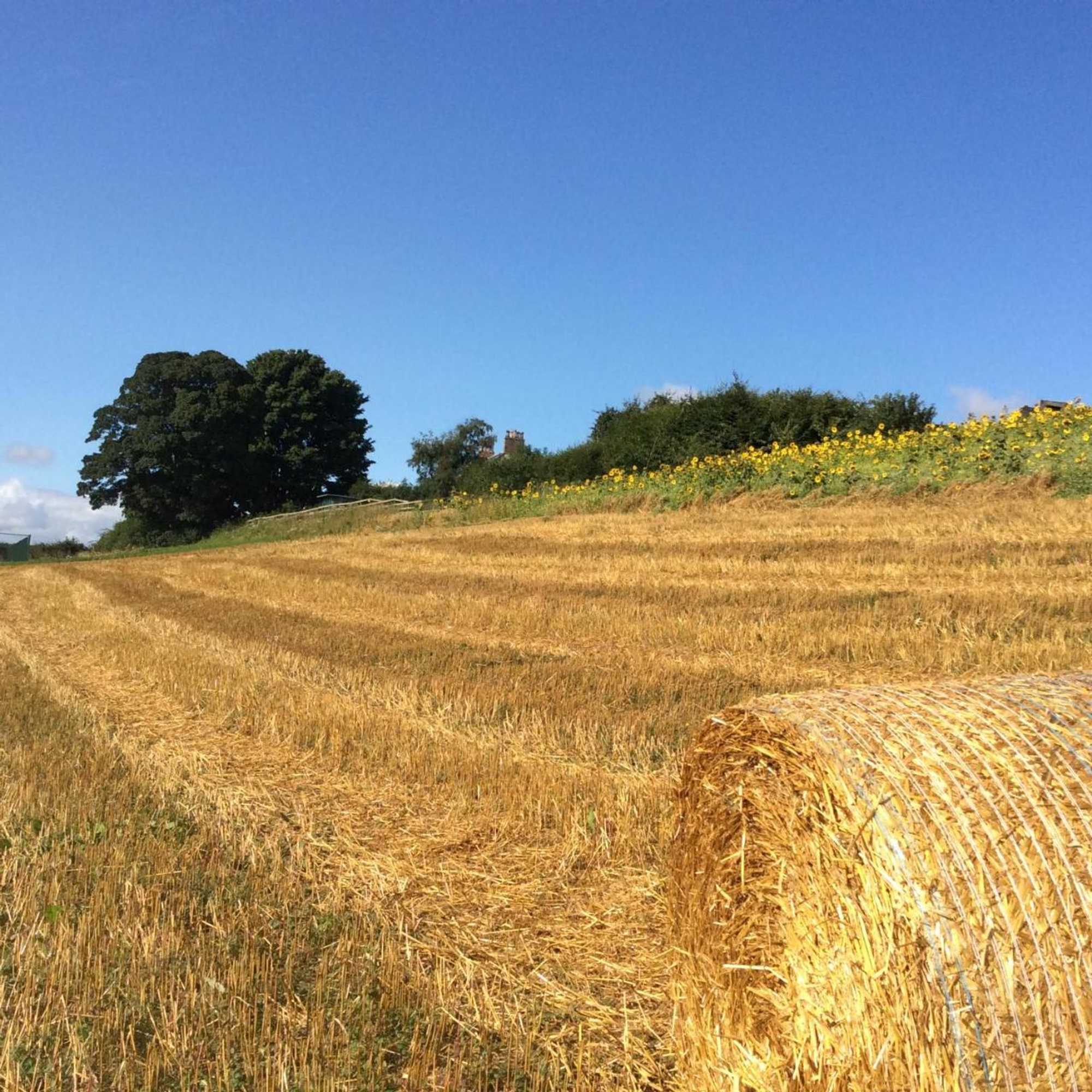 Gift card for Tweed Hideaway