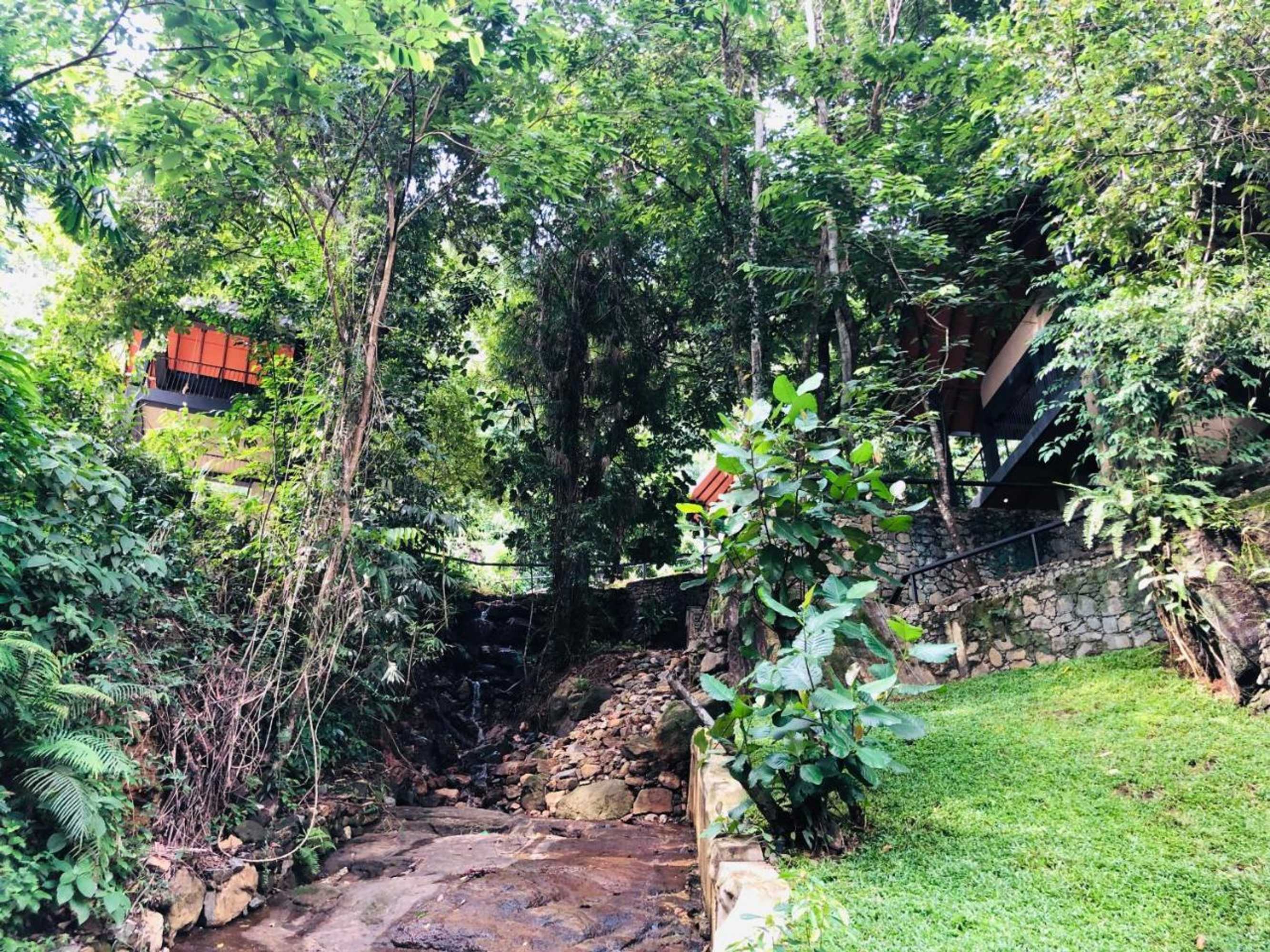 Gift card for Forest Shade Eco Resort
