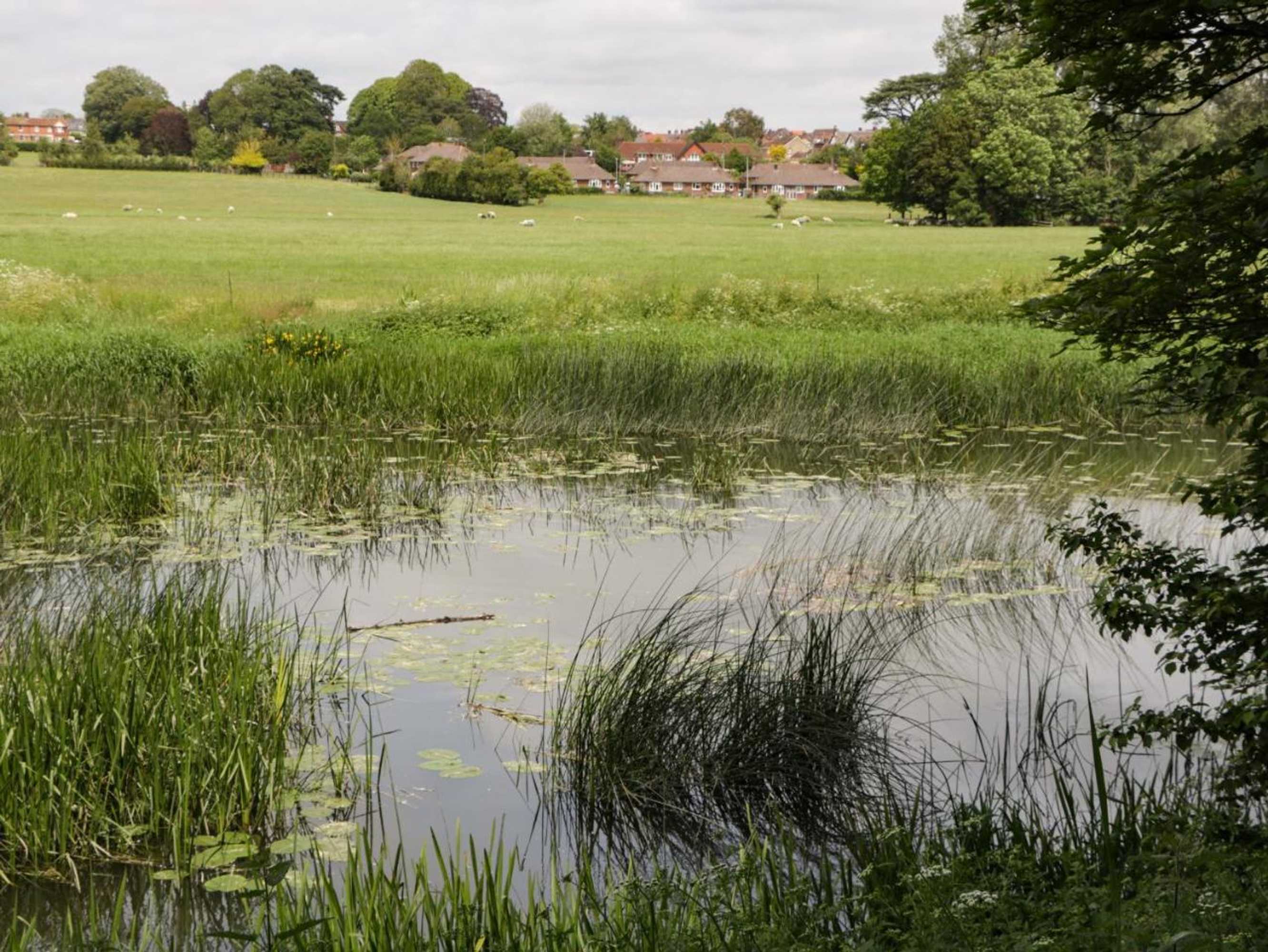 Gift card for Belview Cottage