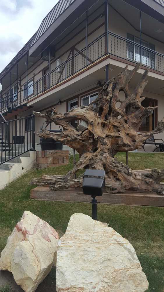 Gift card for Bristlecone Motel