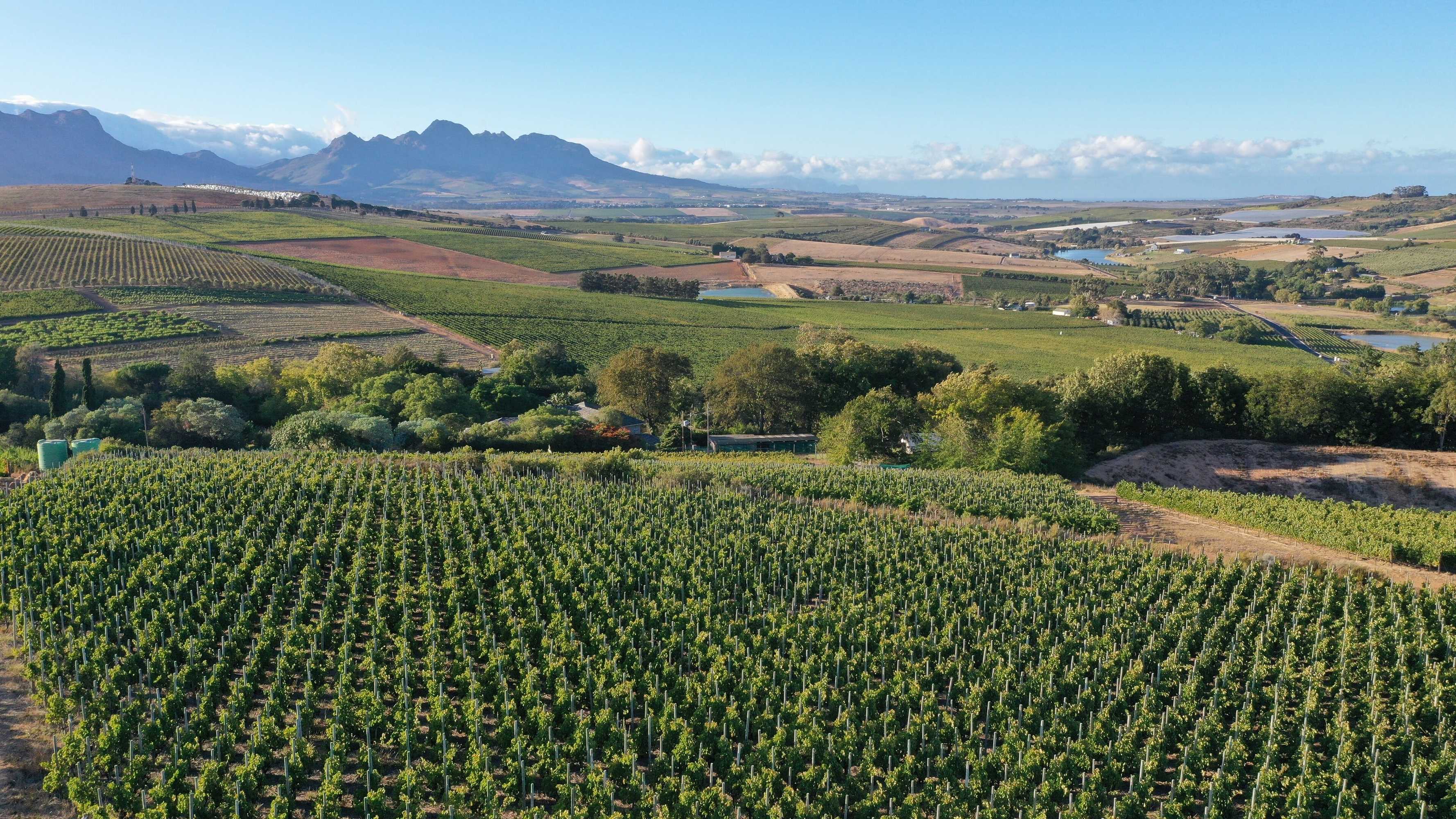 Gift card for Sugarbird Manor at Protea Heights Farm Gift card for Sugarbird Manor at Protea Heights Farm