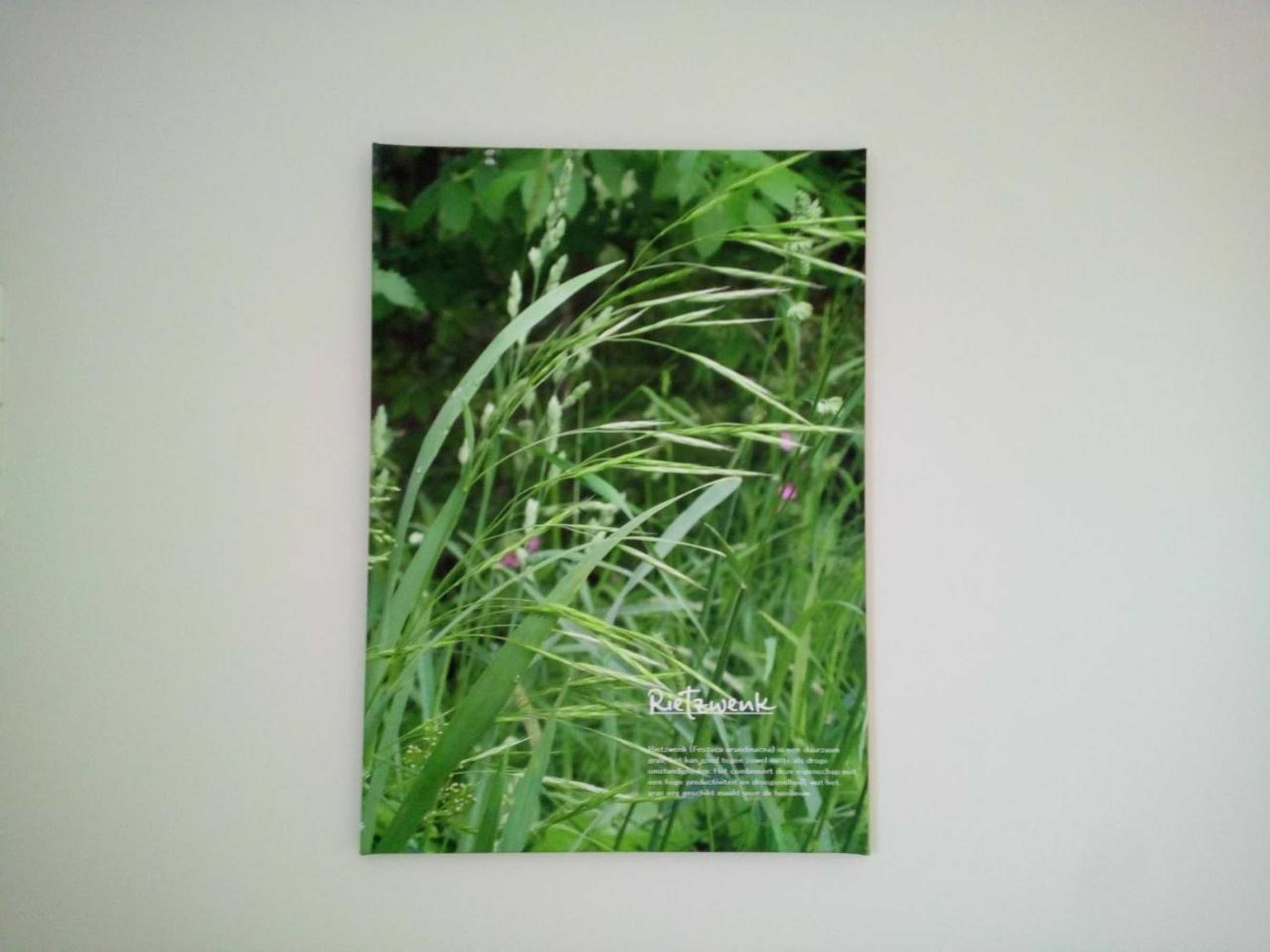 Gift card for B&b In de Wei